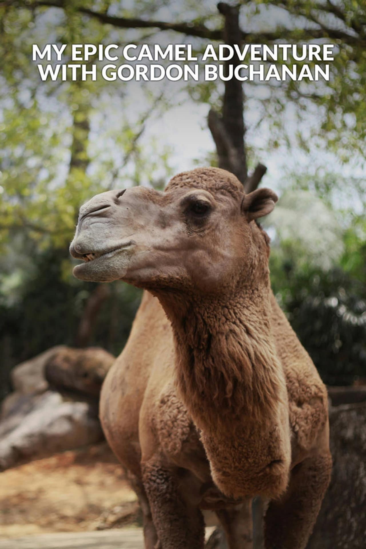 My Epic Camel Adventure With Gordon Buchanan preview 2