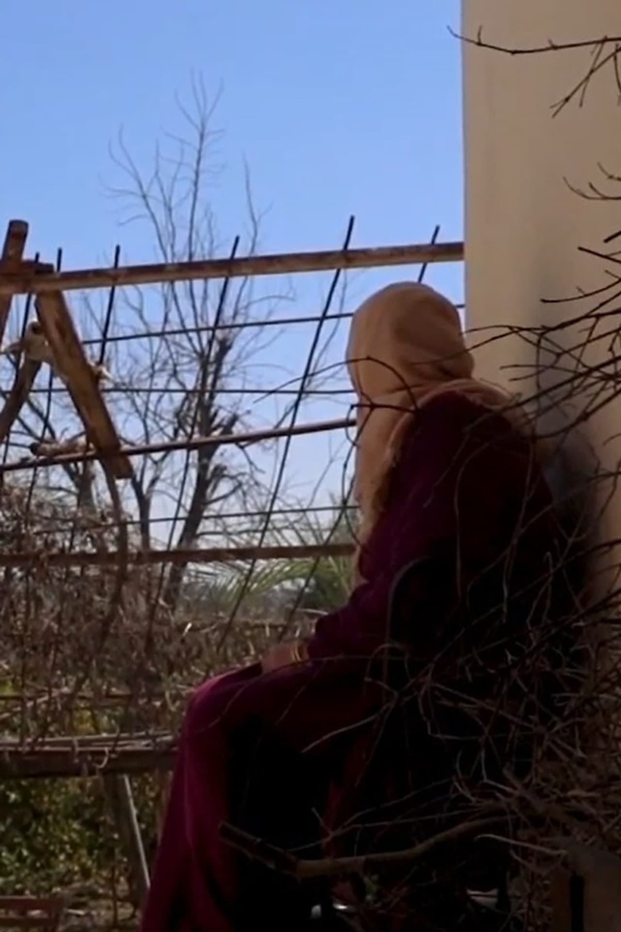 Jawaher preview 2