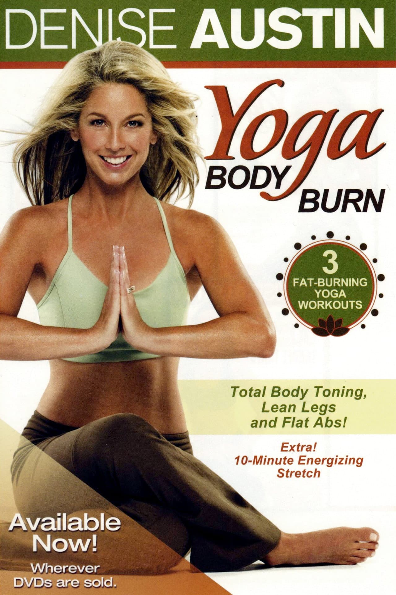 Denise Austin: Yoga Body Burn preview 1