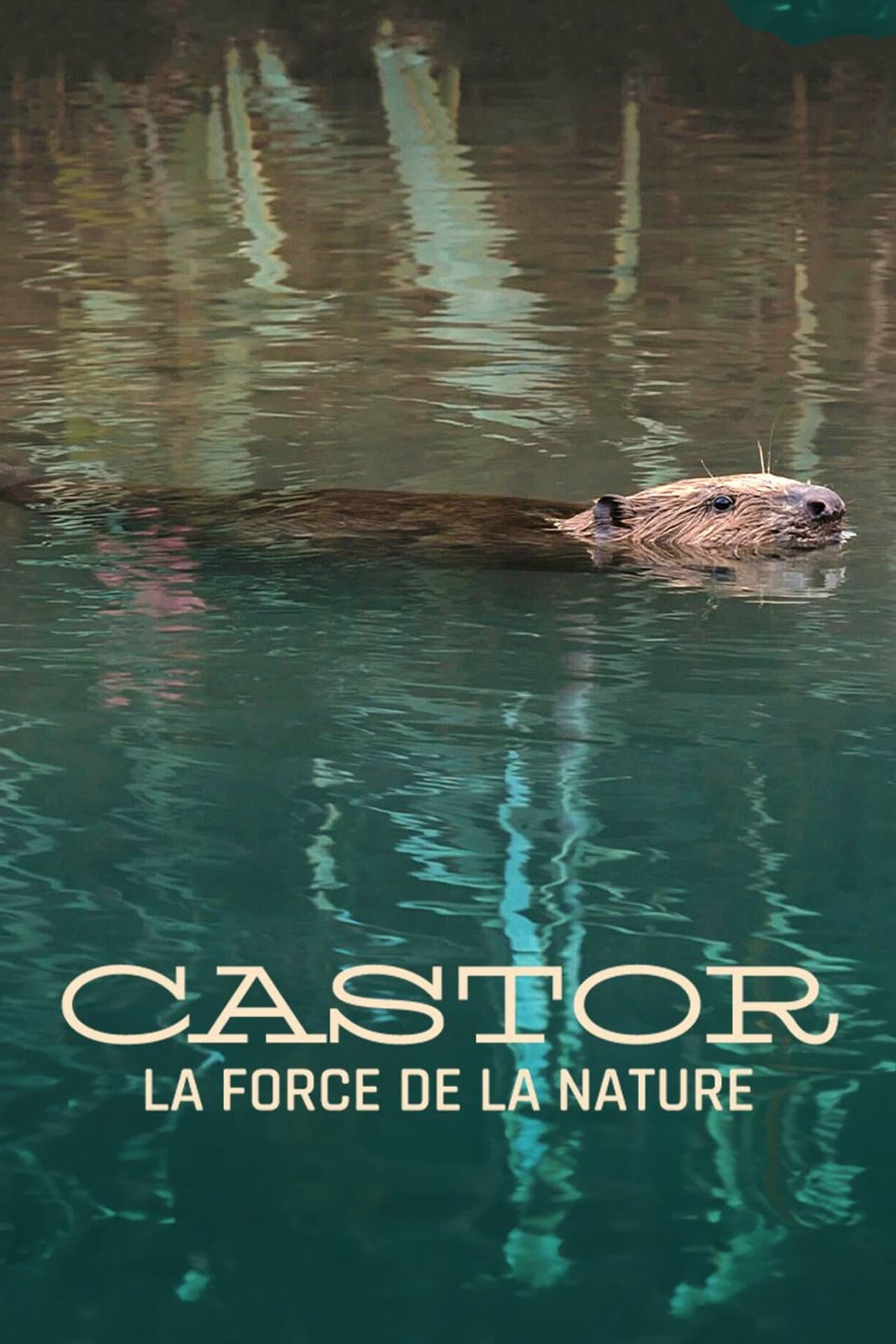 Castor, la force de la nature preview 2