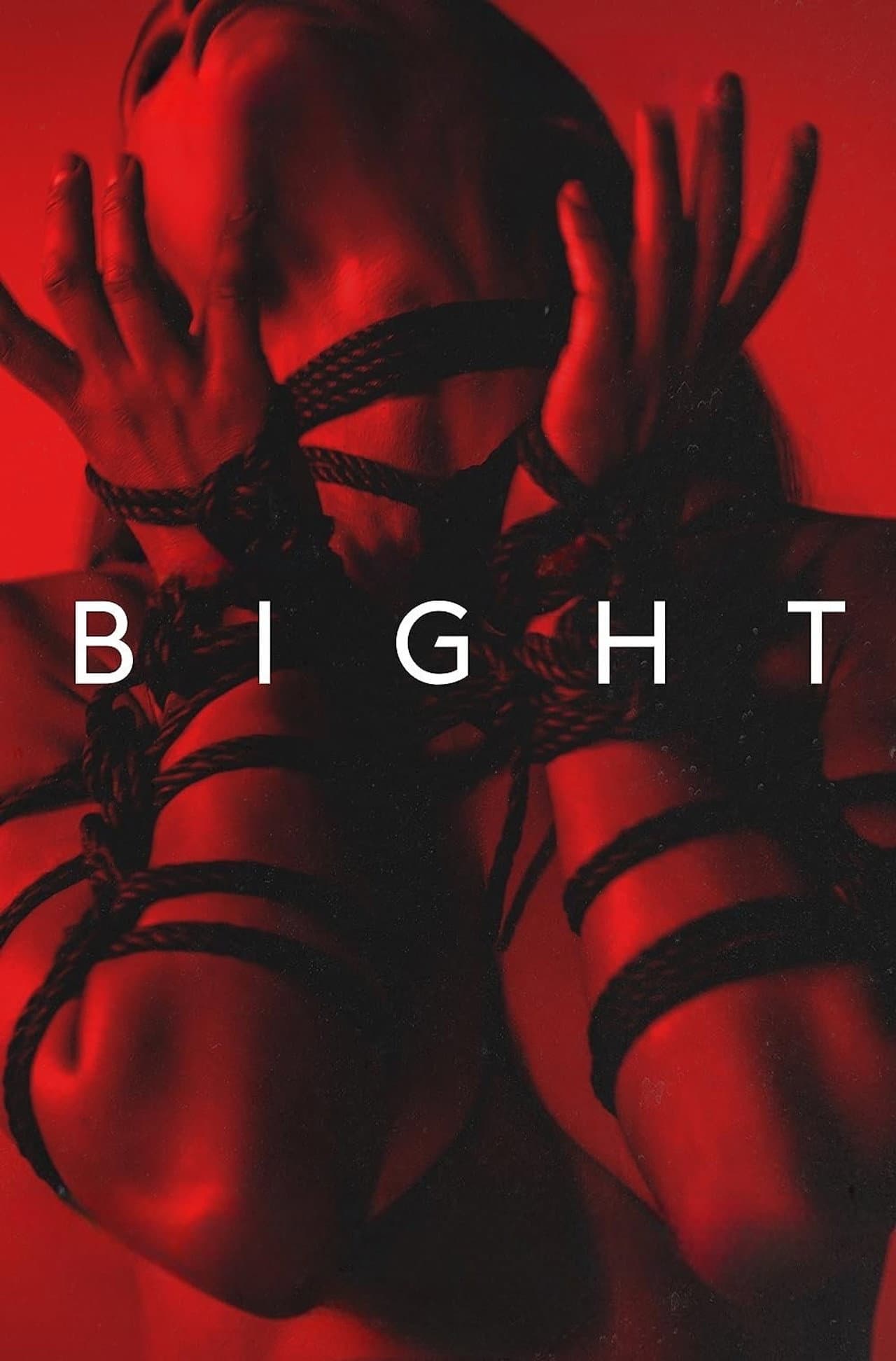 Bight preview 2