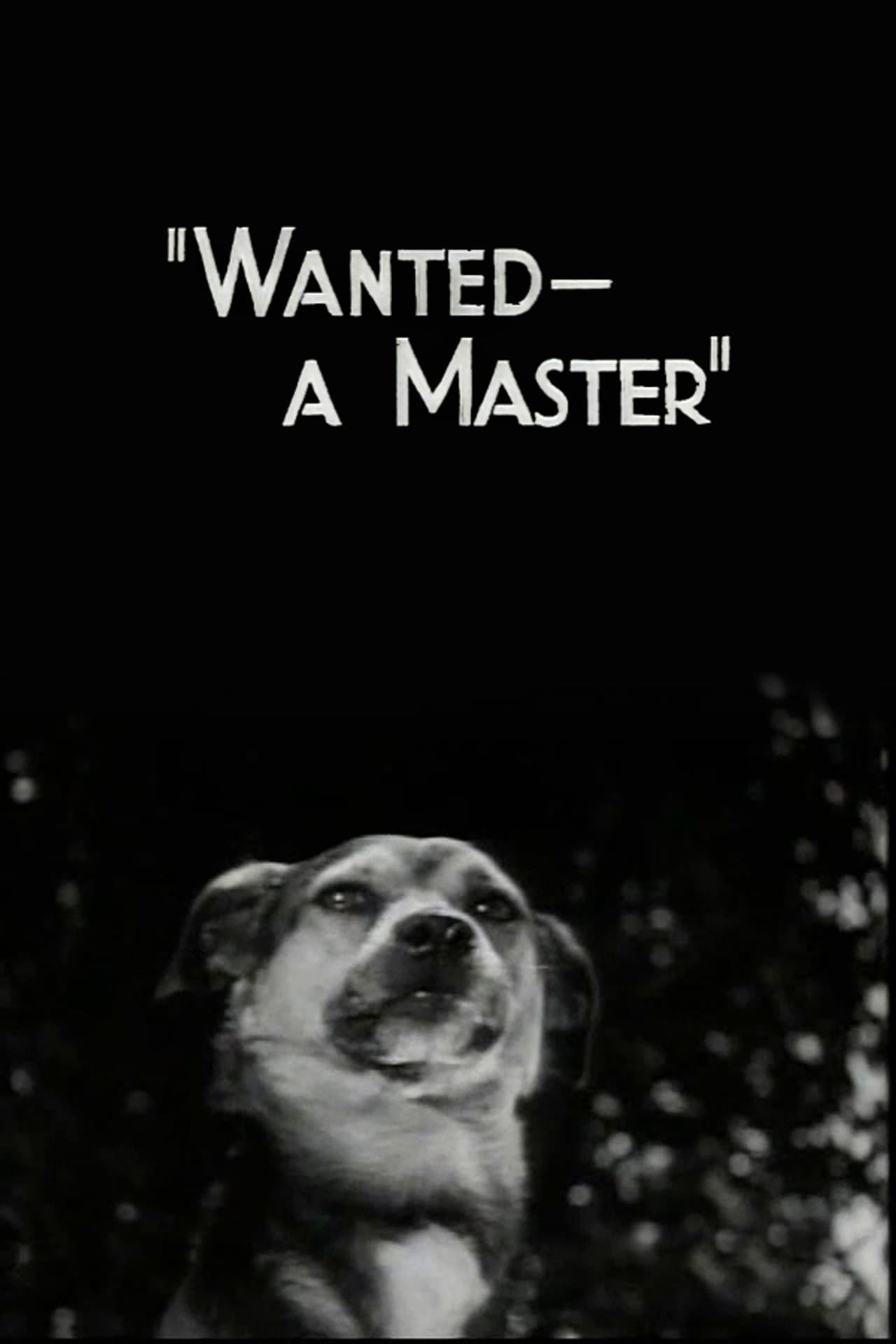Wanted - A Master preview 1