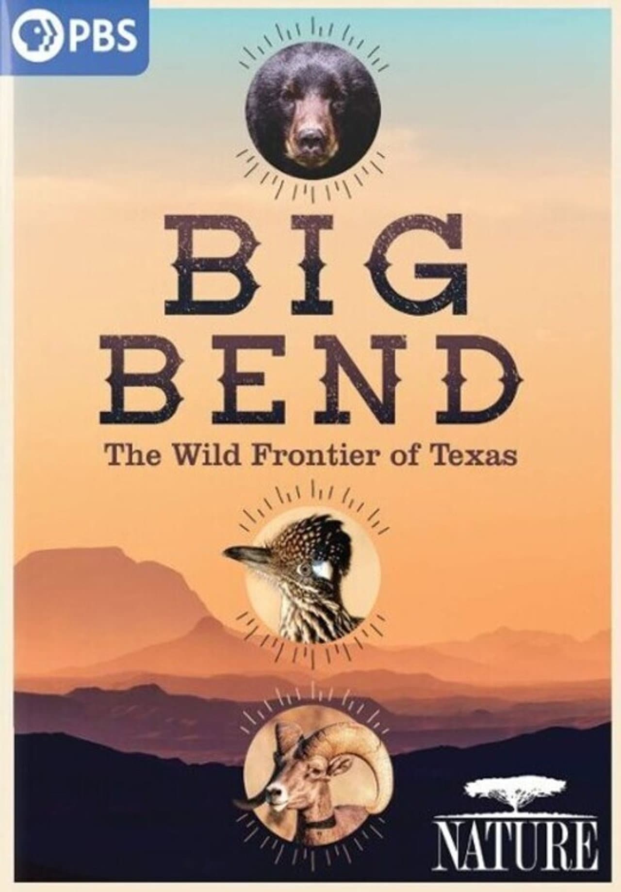 Big Bend: The Wild Frontier of Texas preview 2