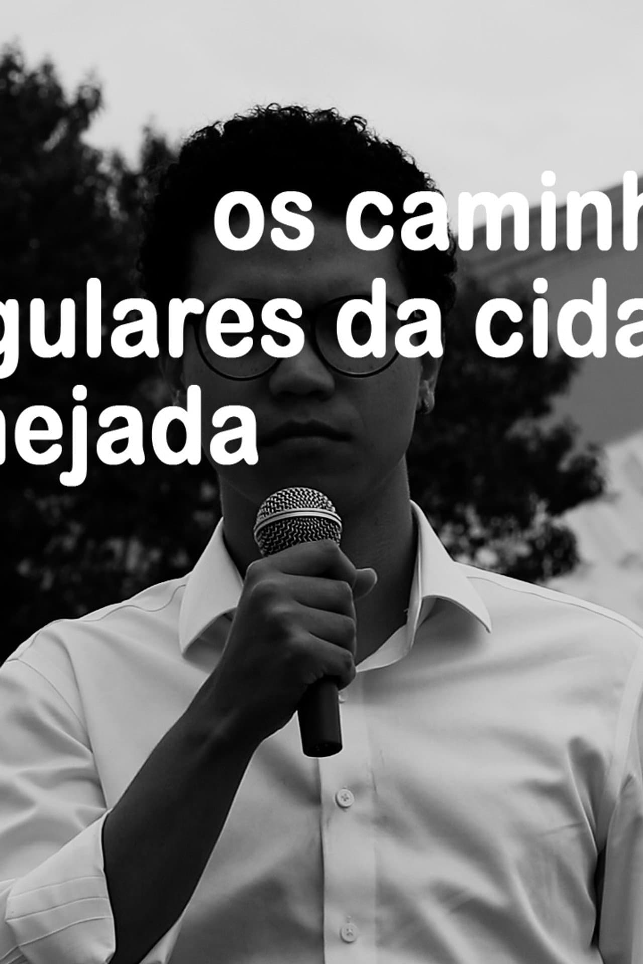Os caminhos irregulares da cidade planejada preview 2