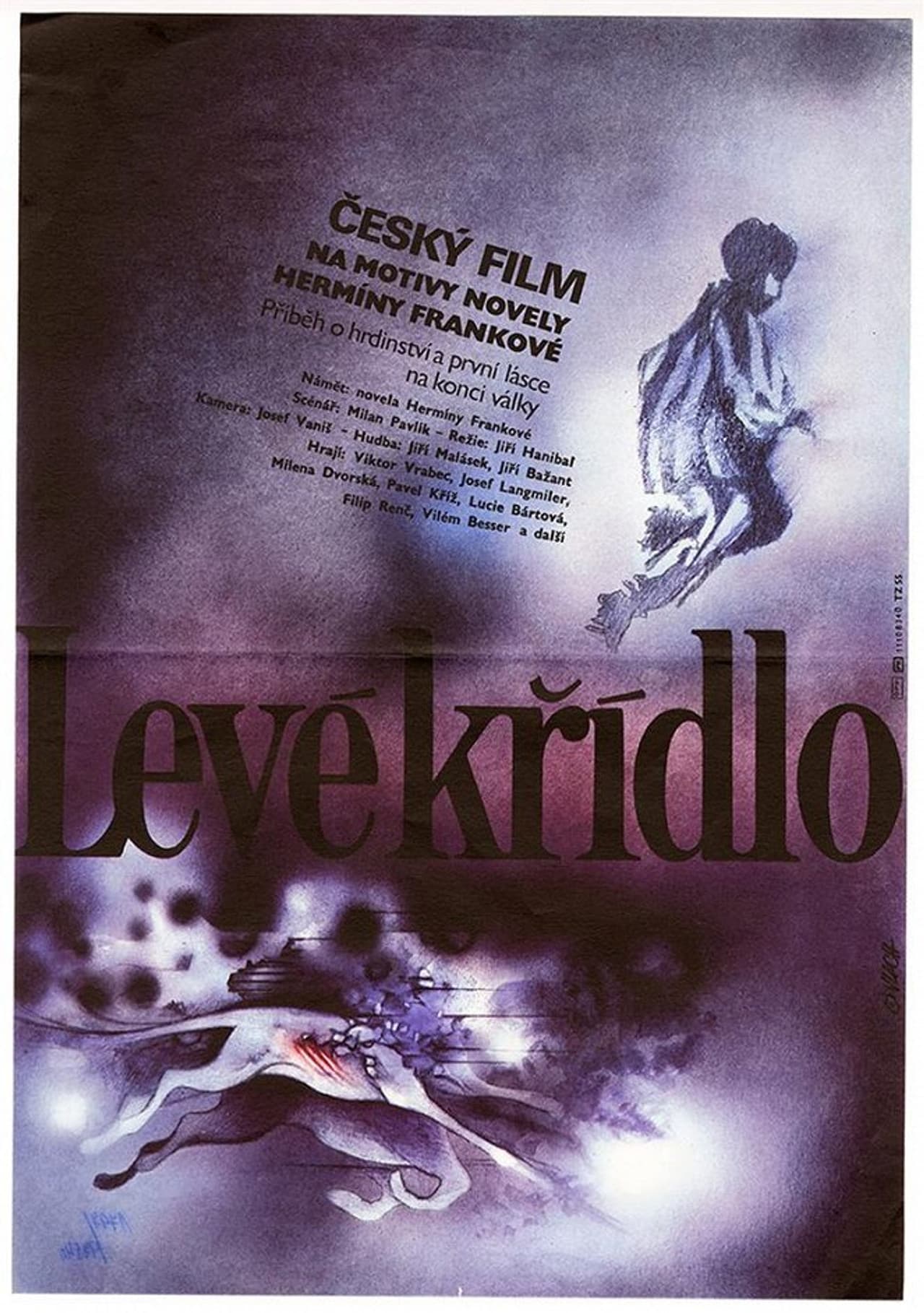 Levé křídlo preview 1