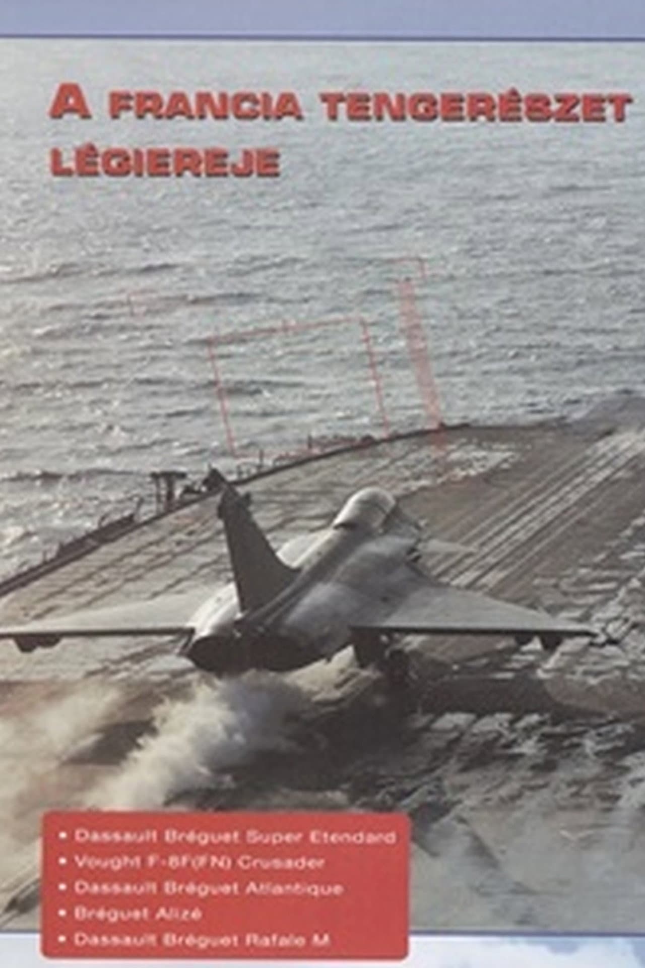 Combat in the Air - French Naval Air Power preview 1