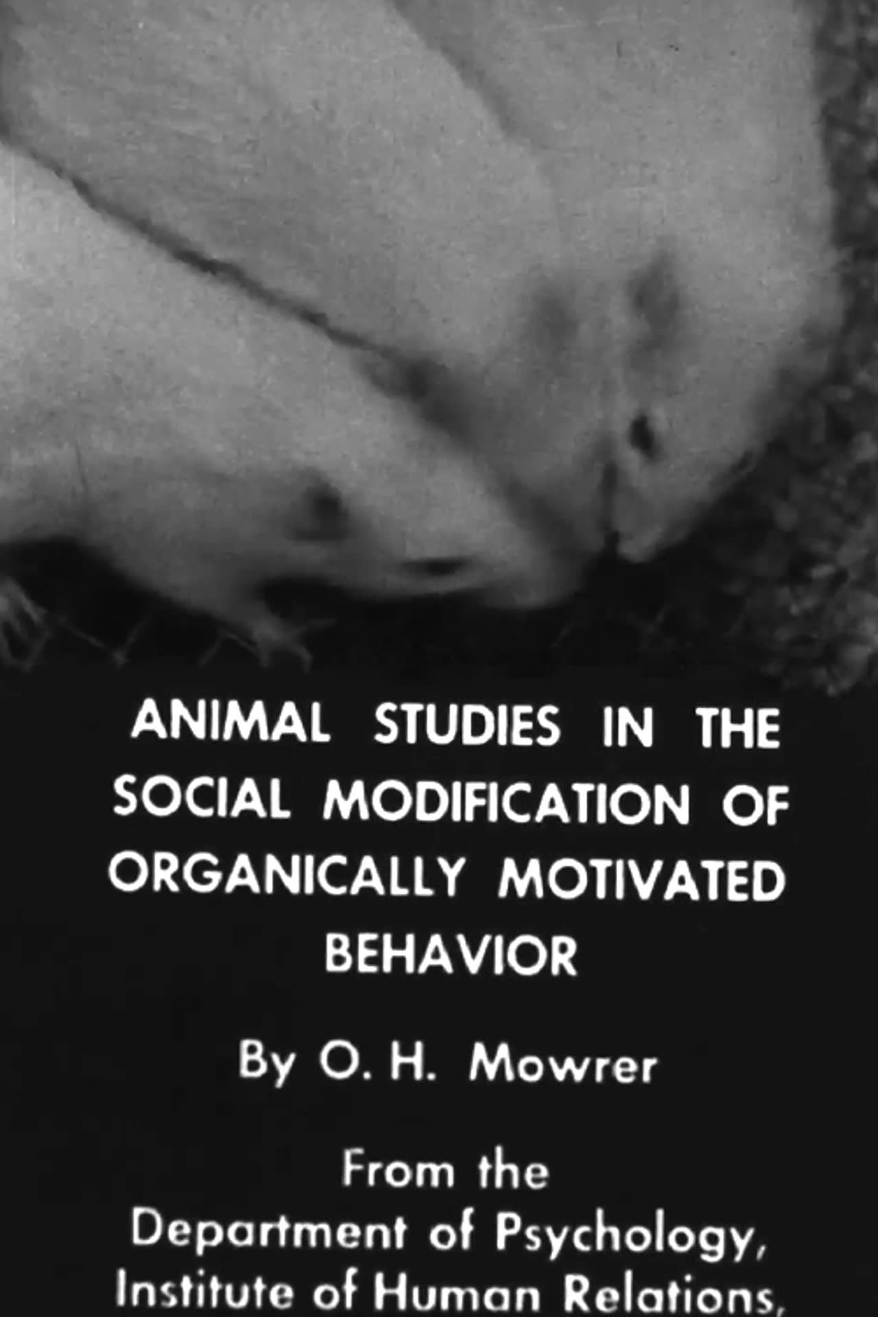 Animal Studies in the Social Modification of Organically Motivated Behavior preview 1