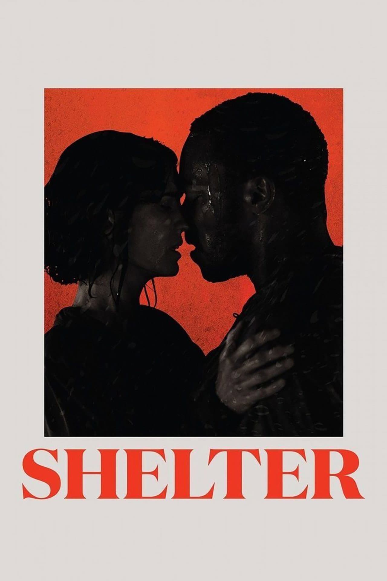 Shelter preview 2