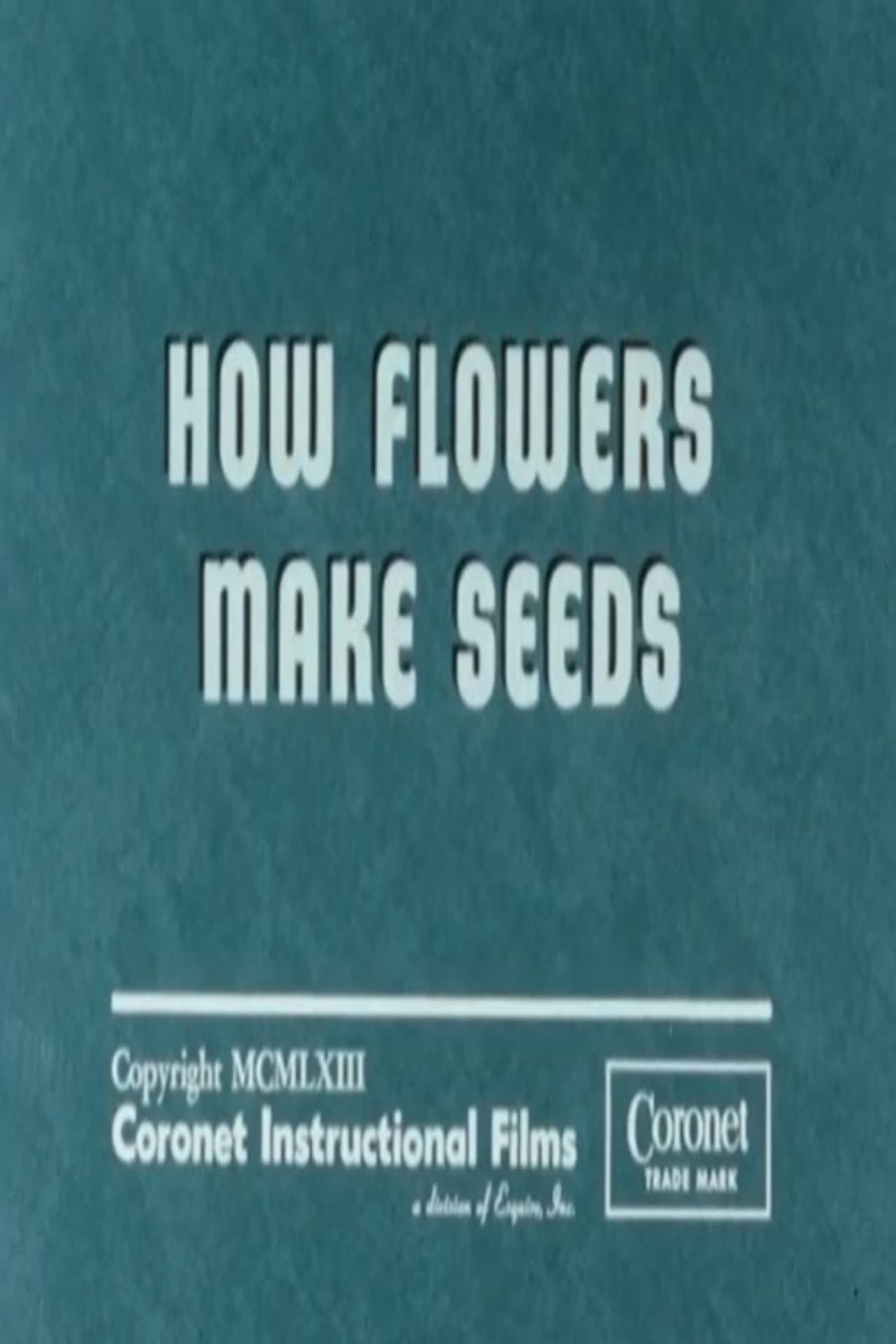 How Flowers Make Seeds preview 2
