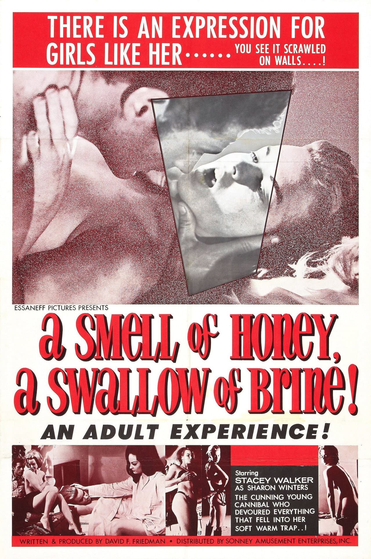A Smell of Honey, a Swallow of Brine preview 2