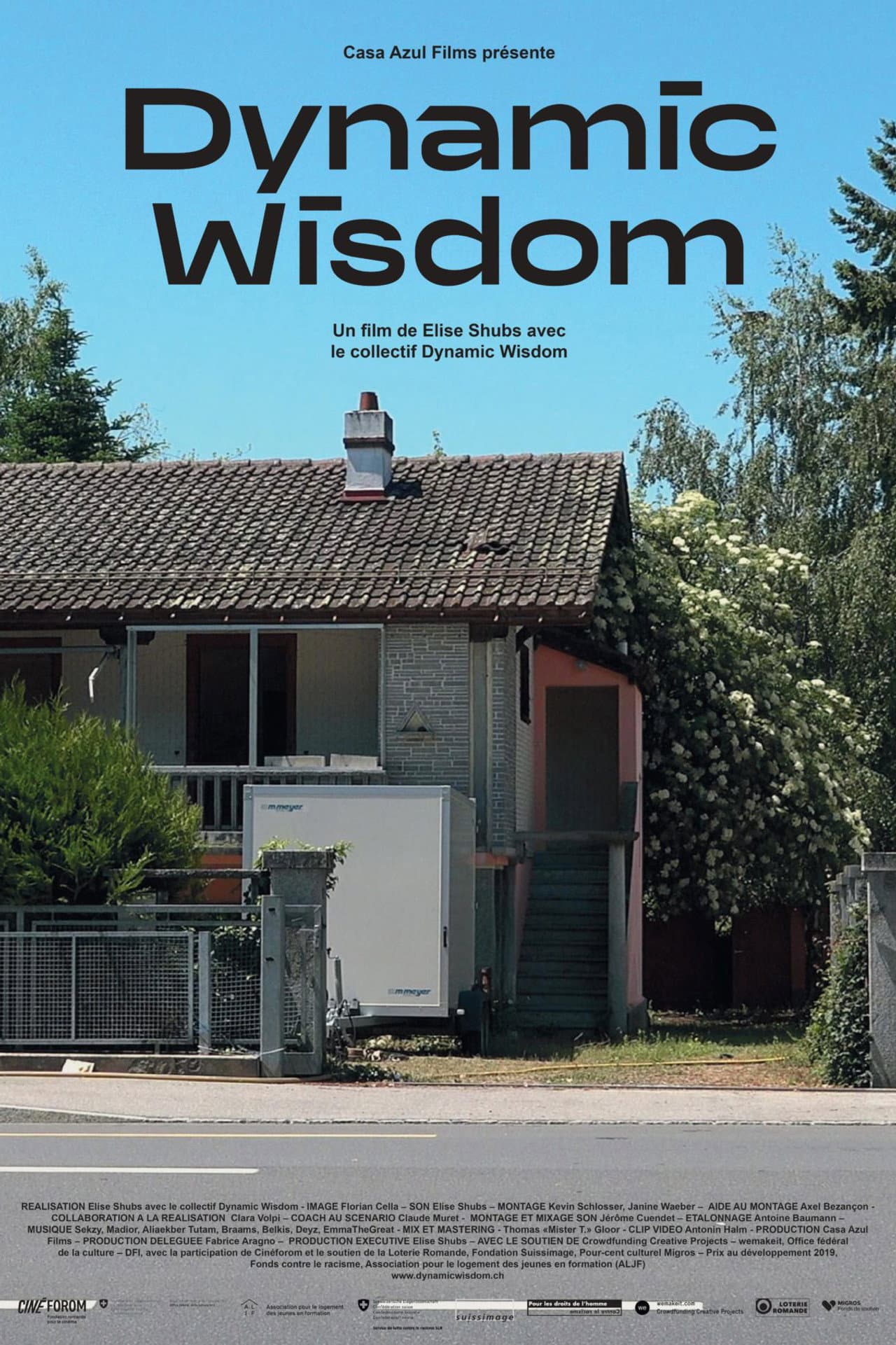 Dynamic Wisdom preview 2