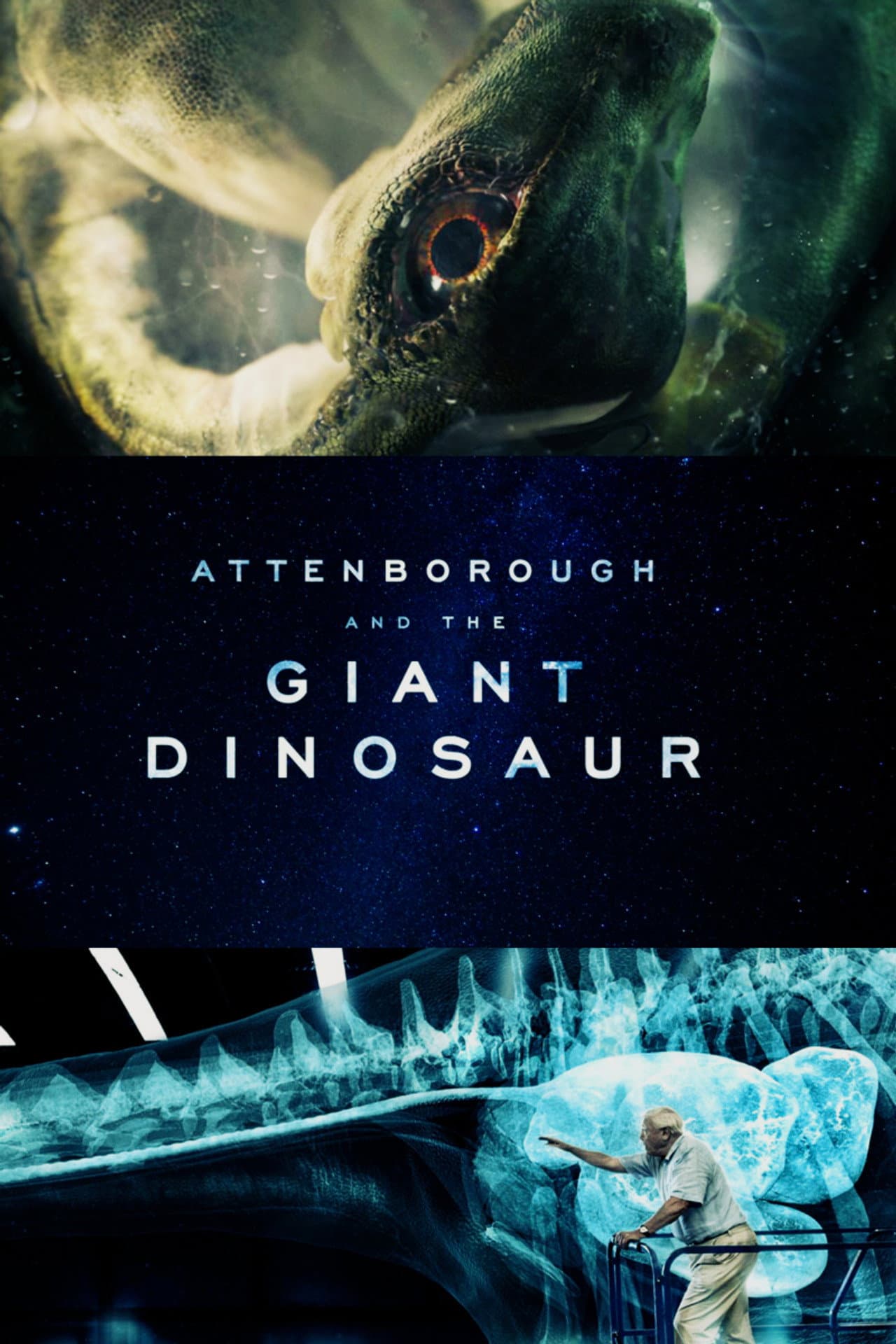 Attenborough and the Giant Dinosaur preview 2
