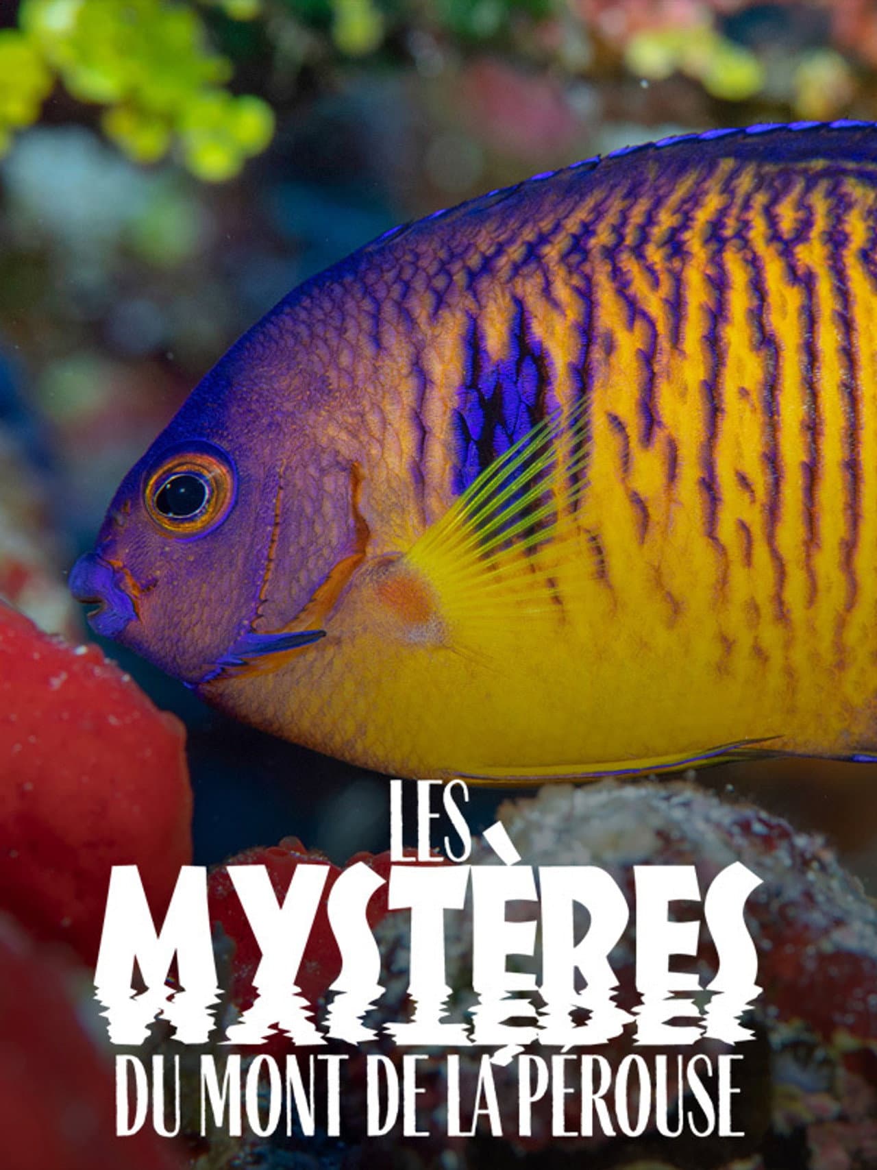 The mysteries of Mont La Pérouse preview 2