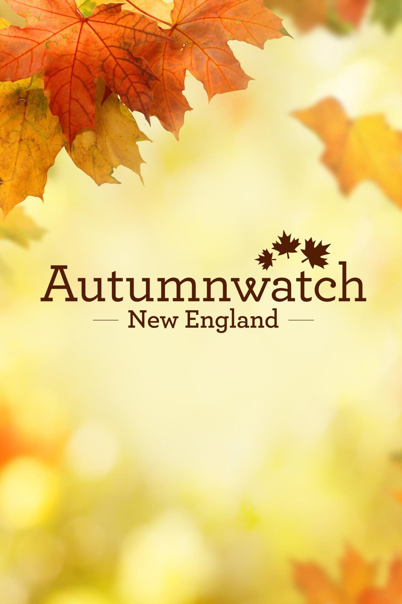 Autumnwatch New England preview 2