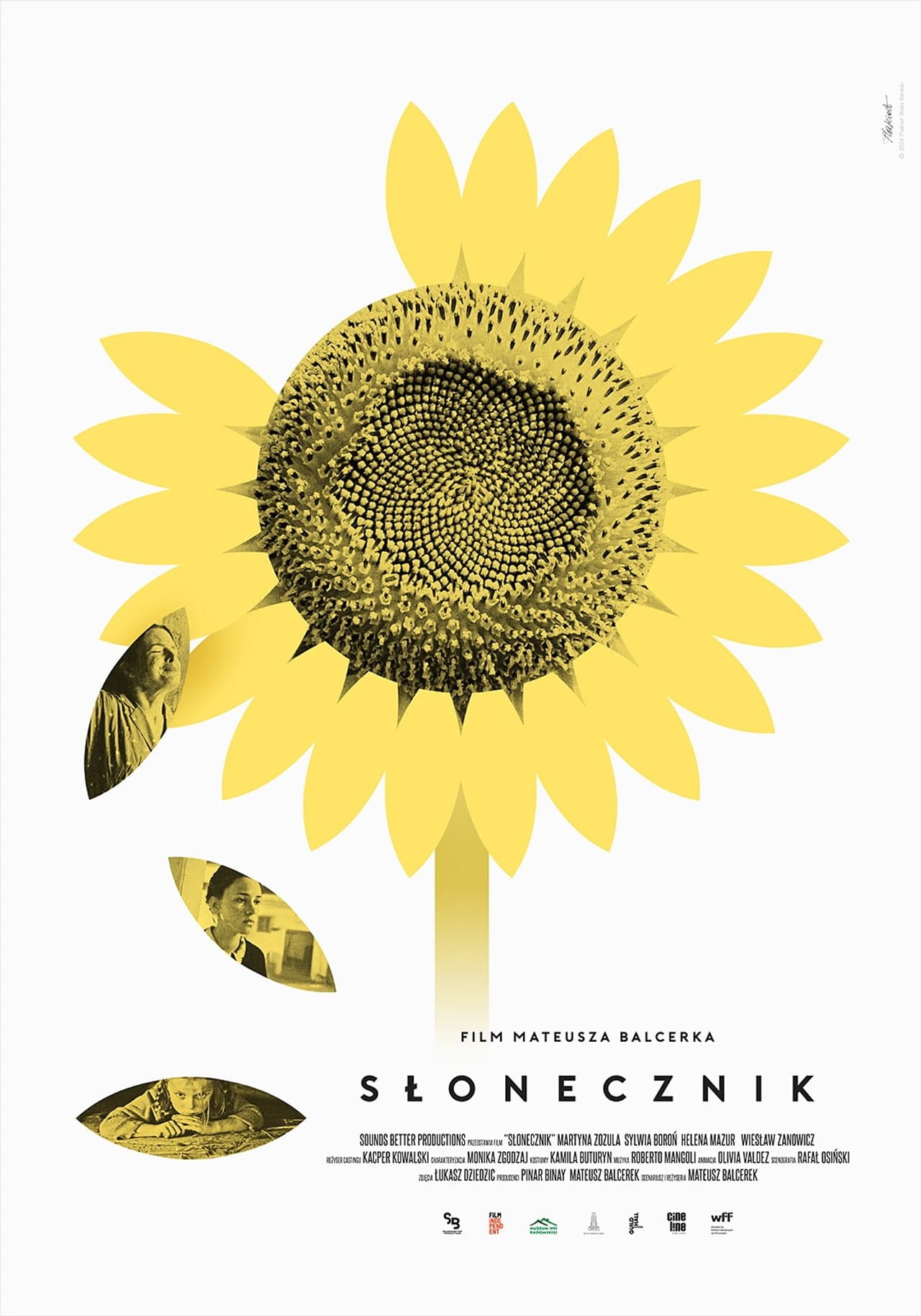 Sunflower preview 2