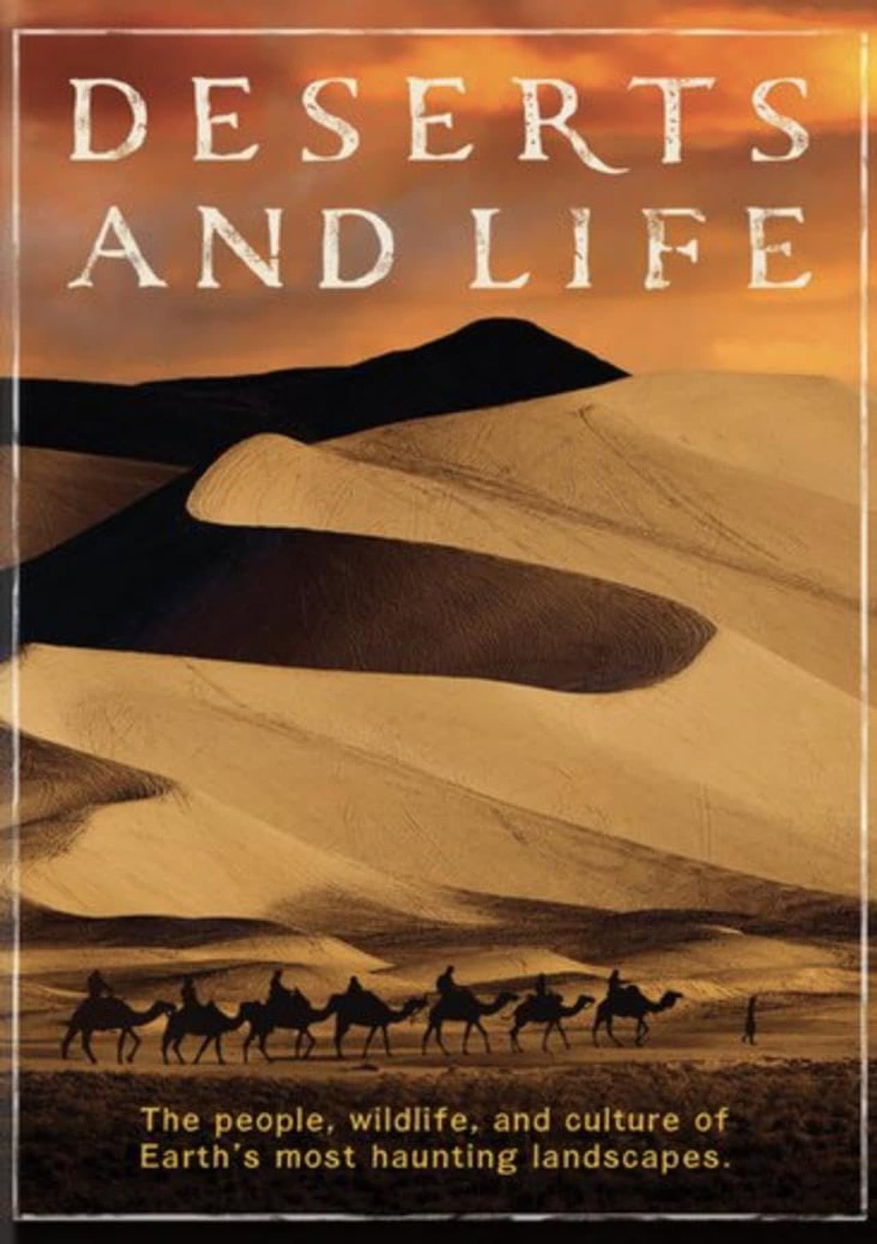 Deserts and Life preview 2