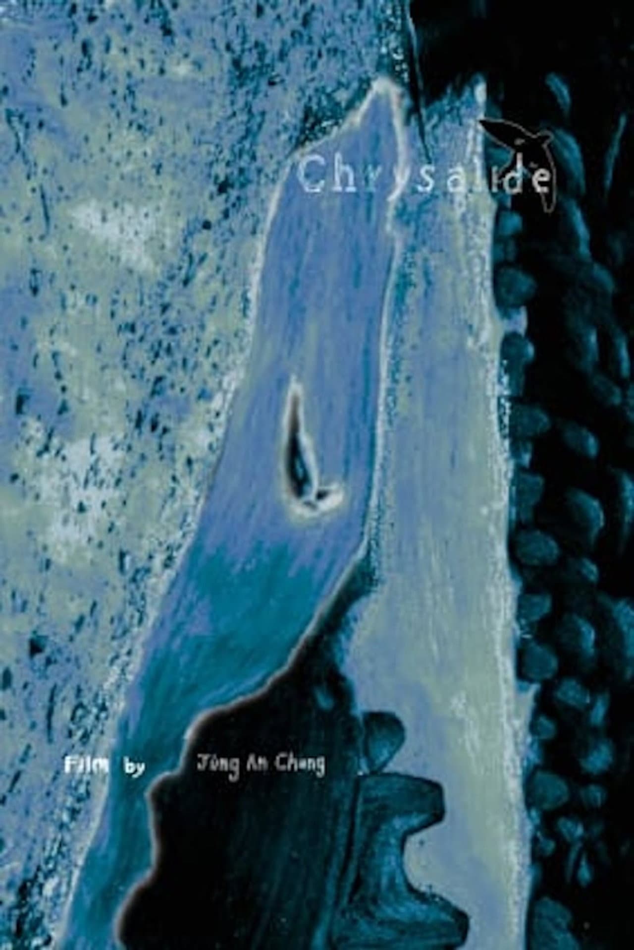 Chrysalide preview 1