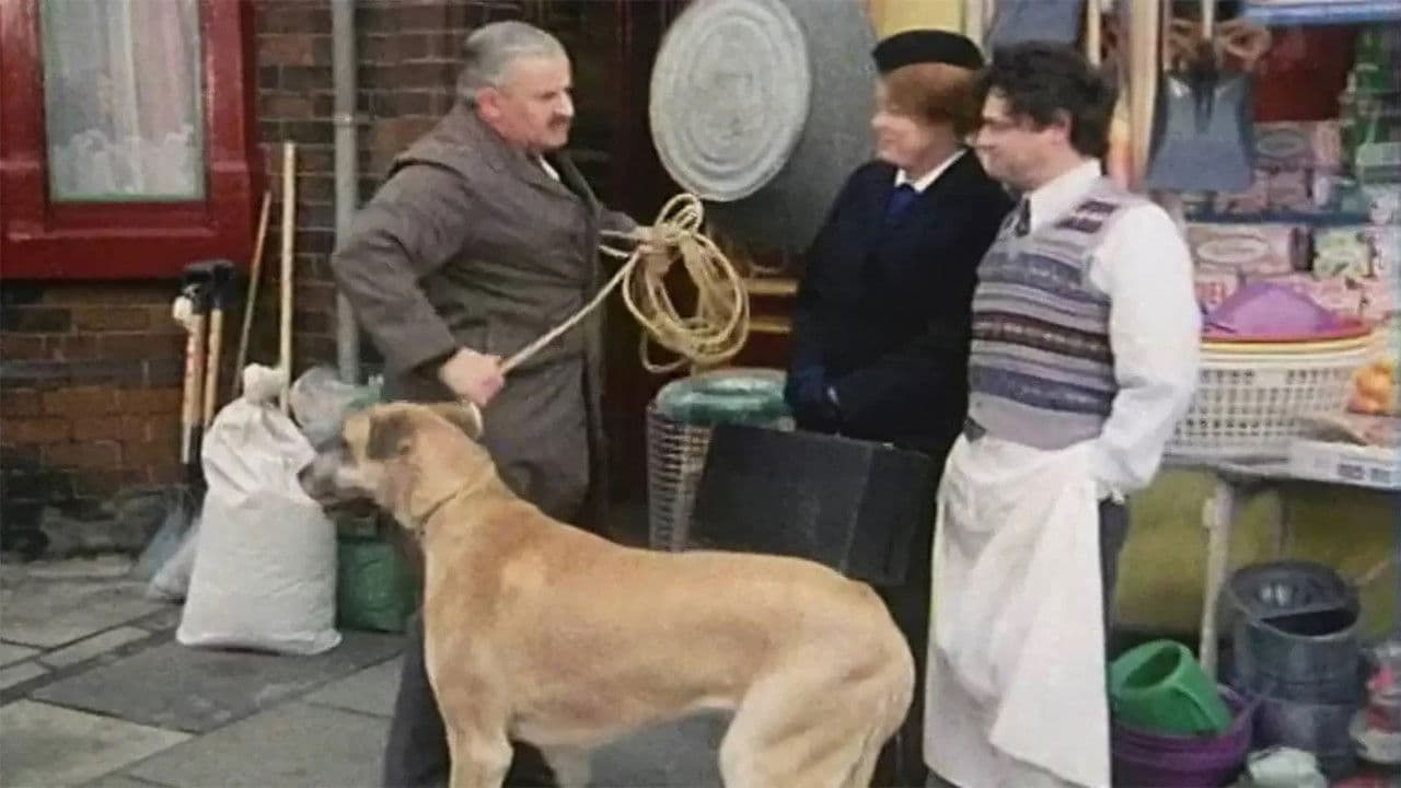 Beware of the Dog