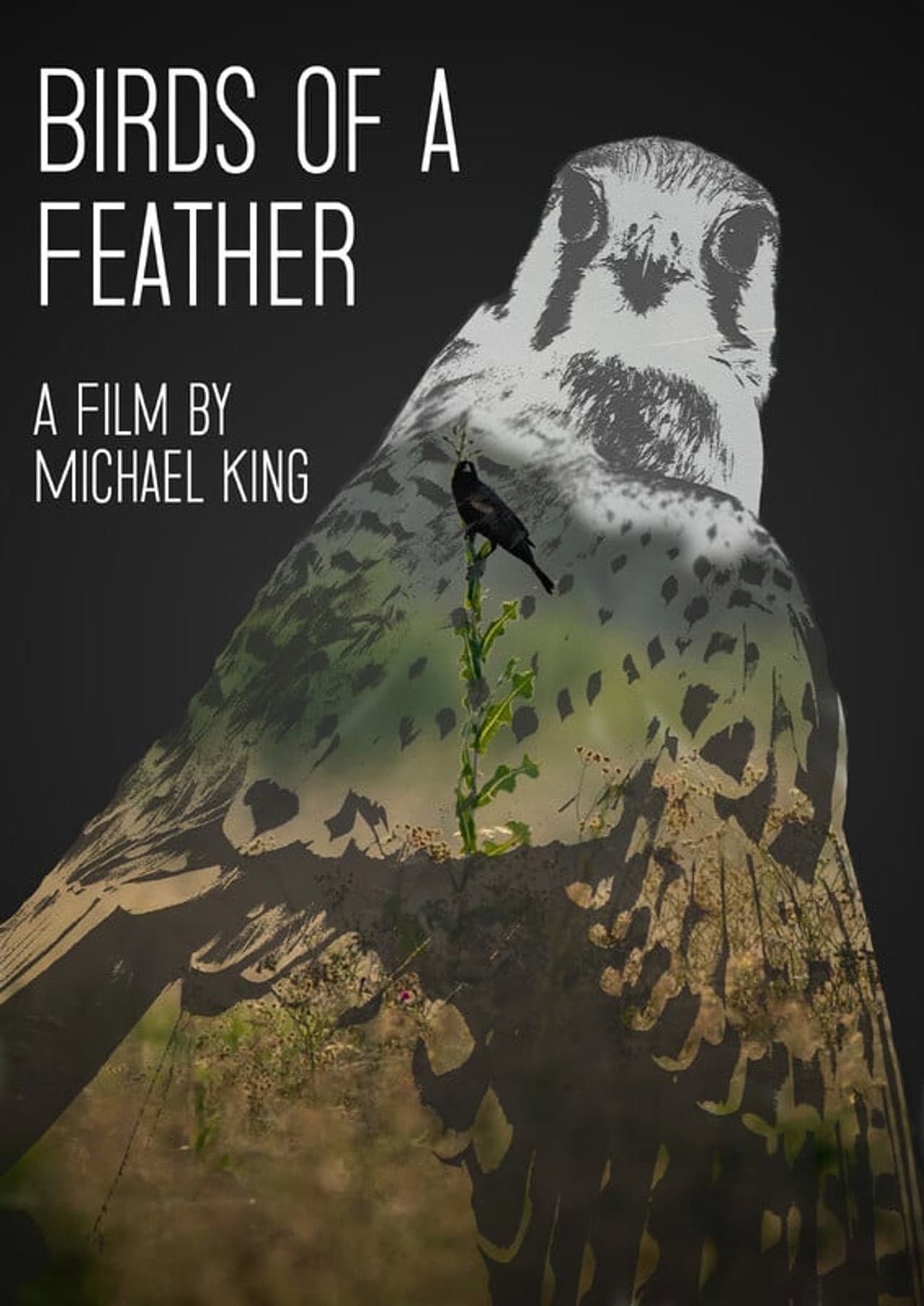 Birds of a Feather preview 1