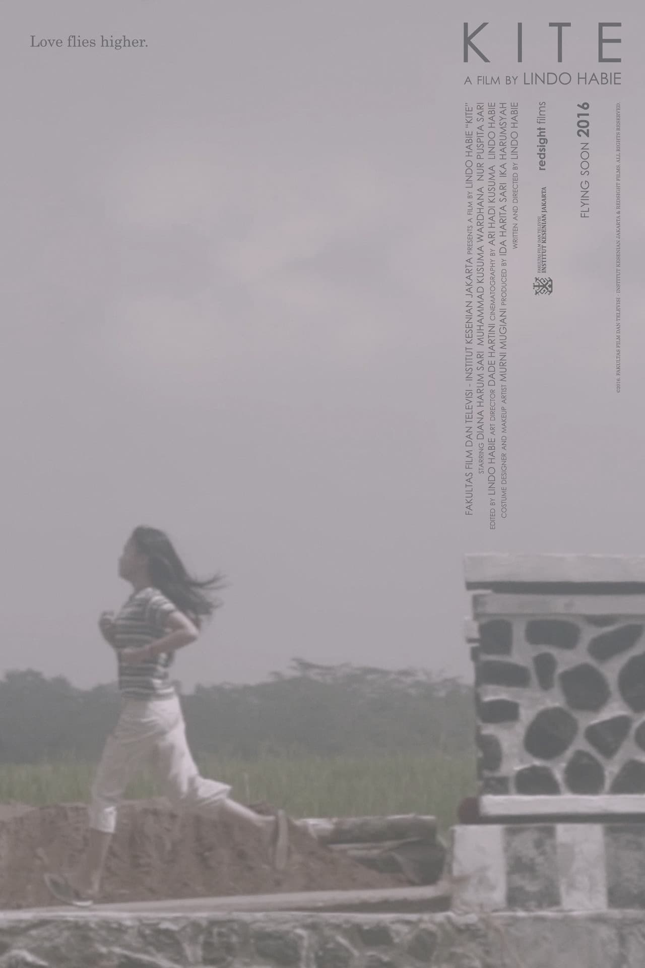Kite preview 2