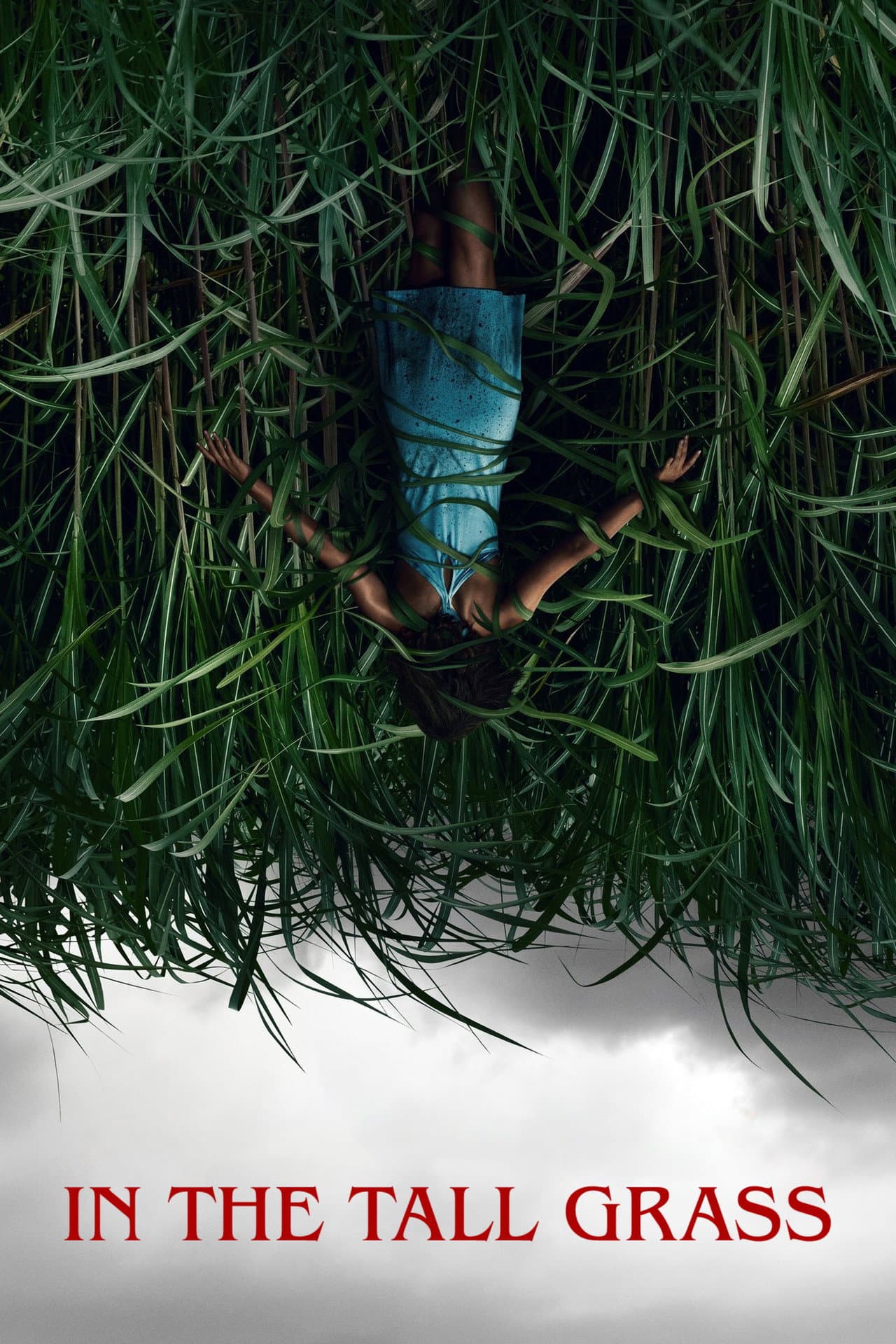 In the Tall Grass preview 2