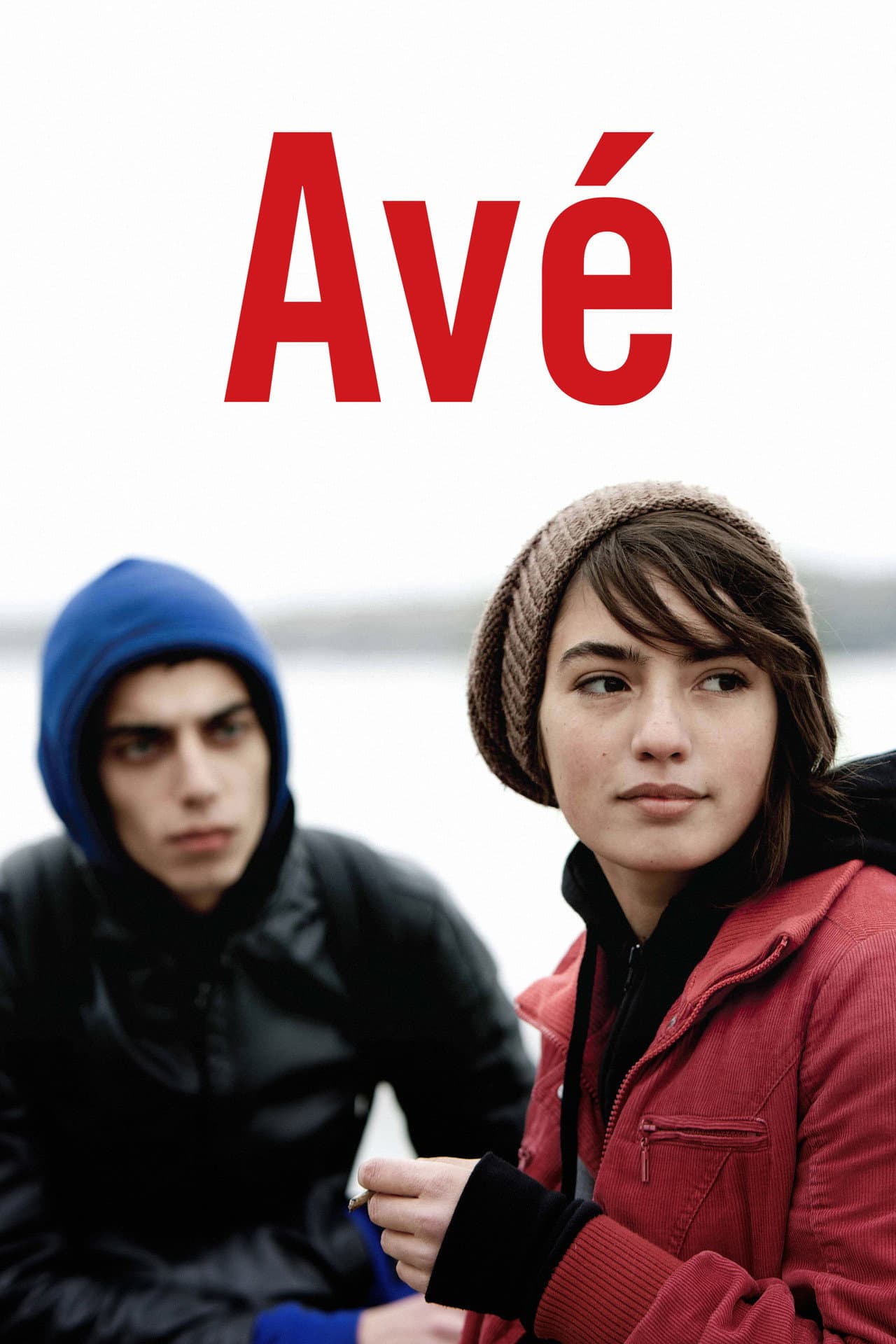 Avé preview 2