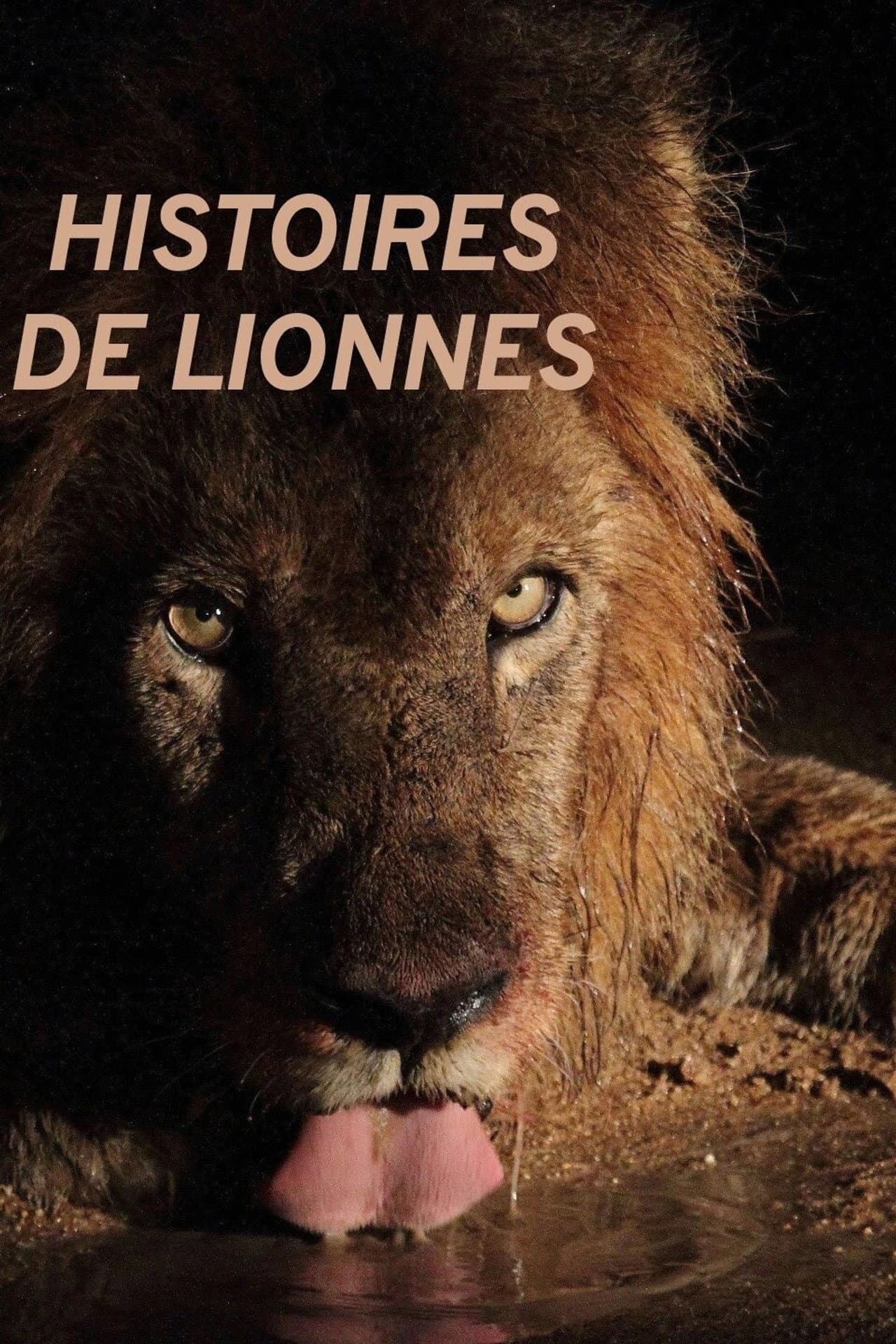 Histoires de lionnes preview 2