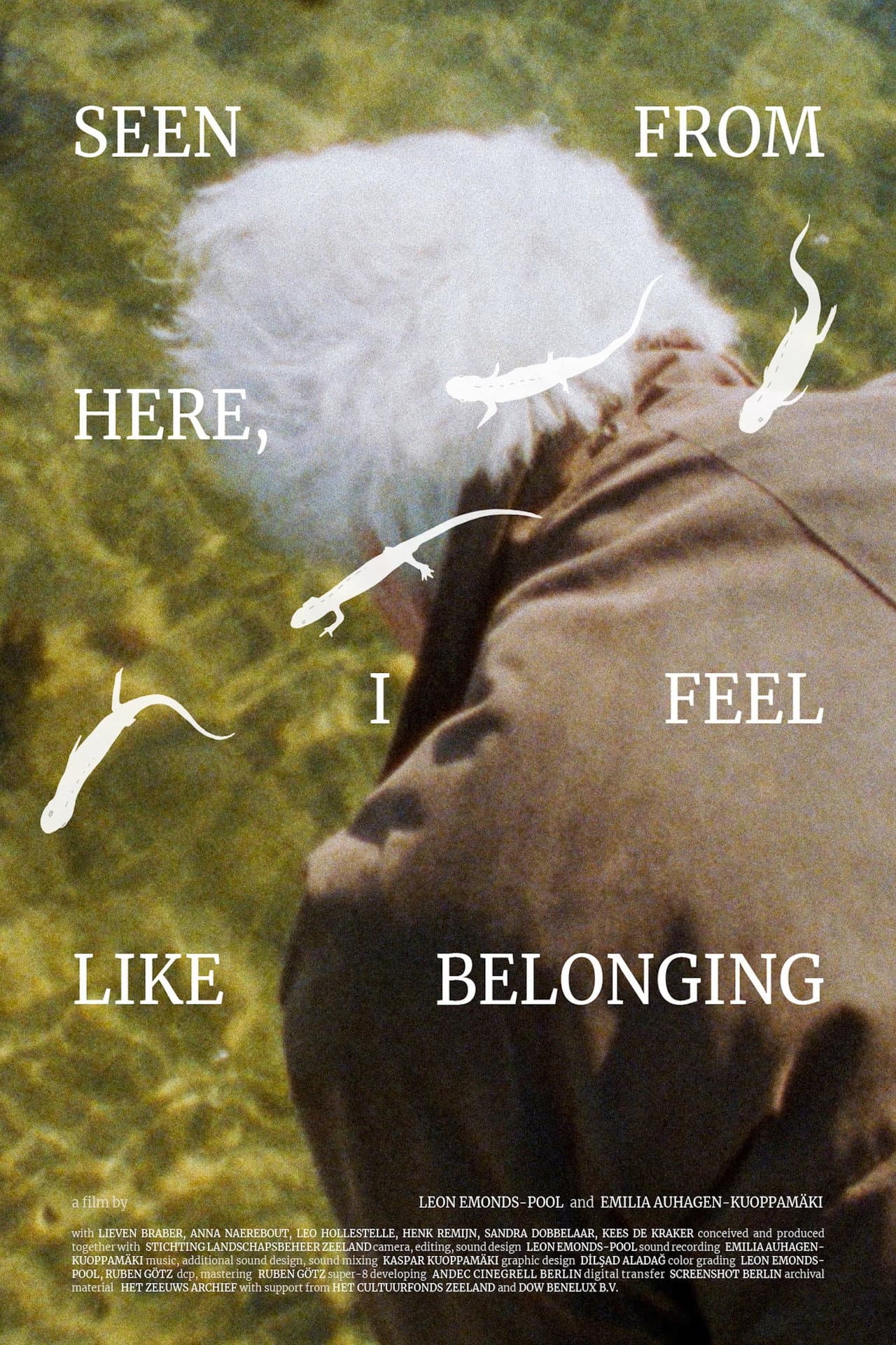Seen From Here, I Feel Like Belonging preview 2