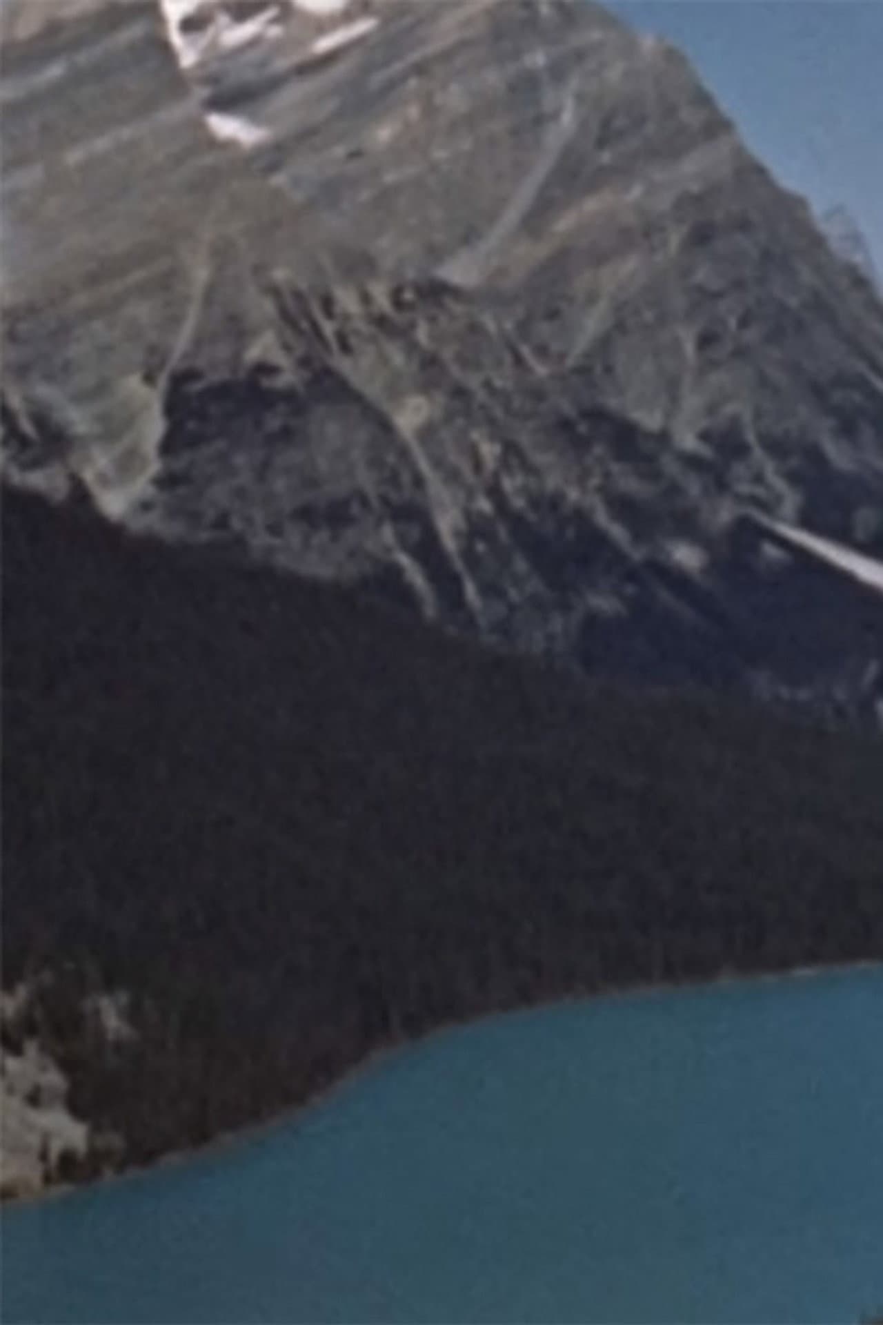 Wildlife in the Rockies preview 1