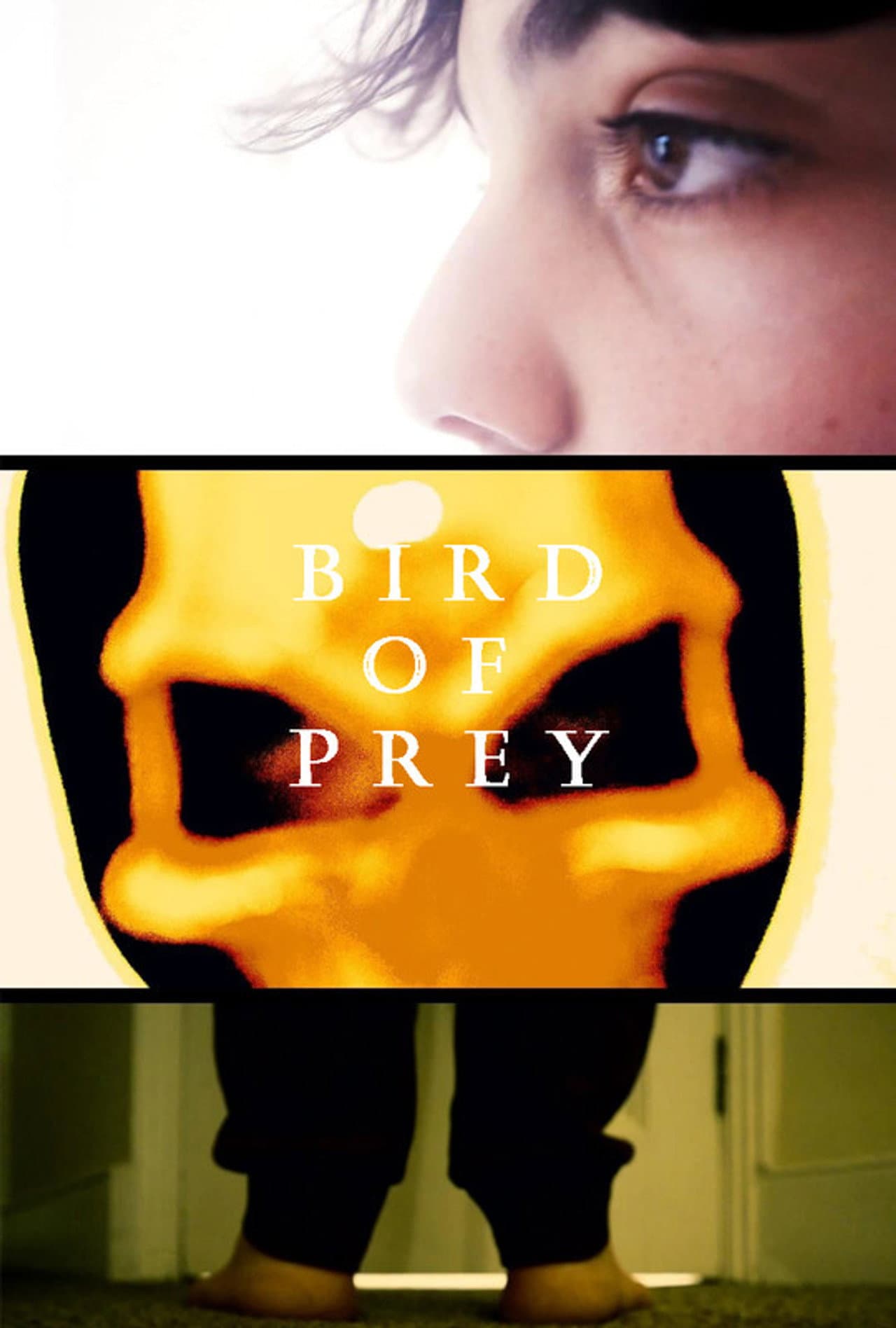 Bird Of Prey preview 2