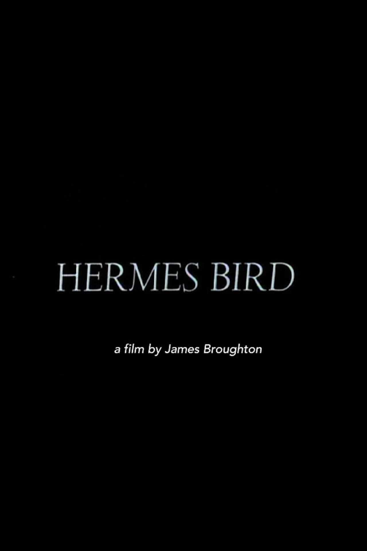 Hermes Bird preview 1