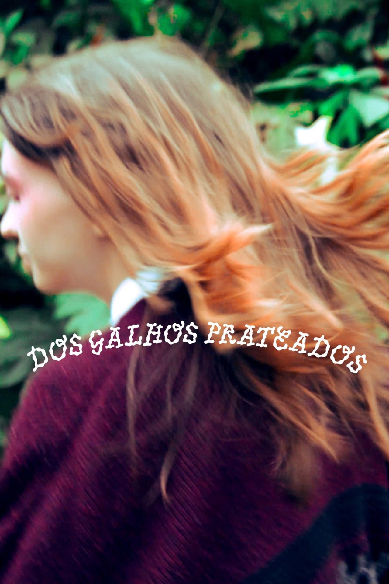 Dos Galhos Prateados preview 2