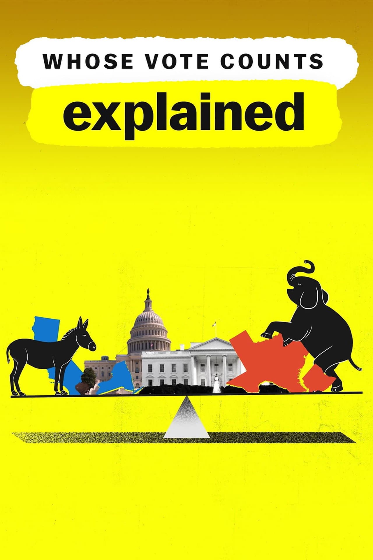 Whose Vote Counts, Explained preview 2