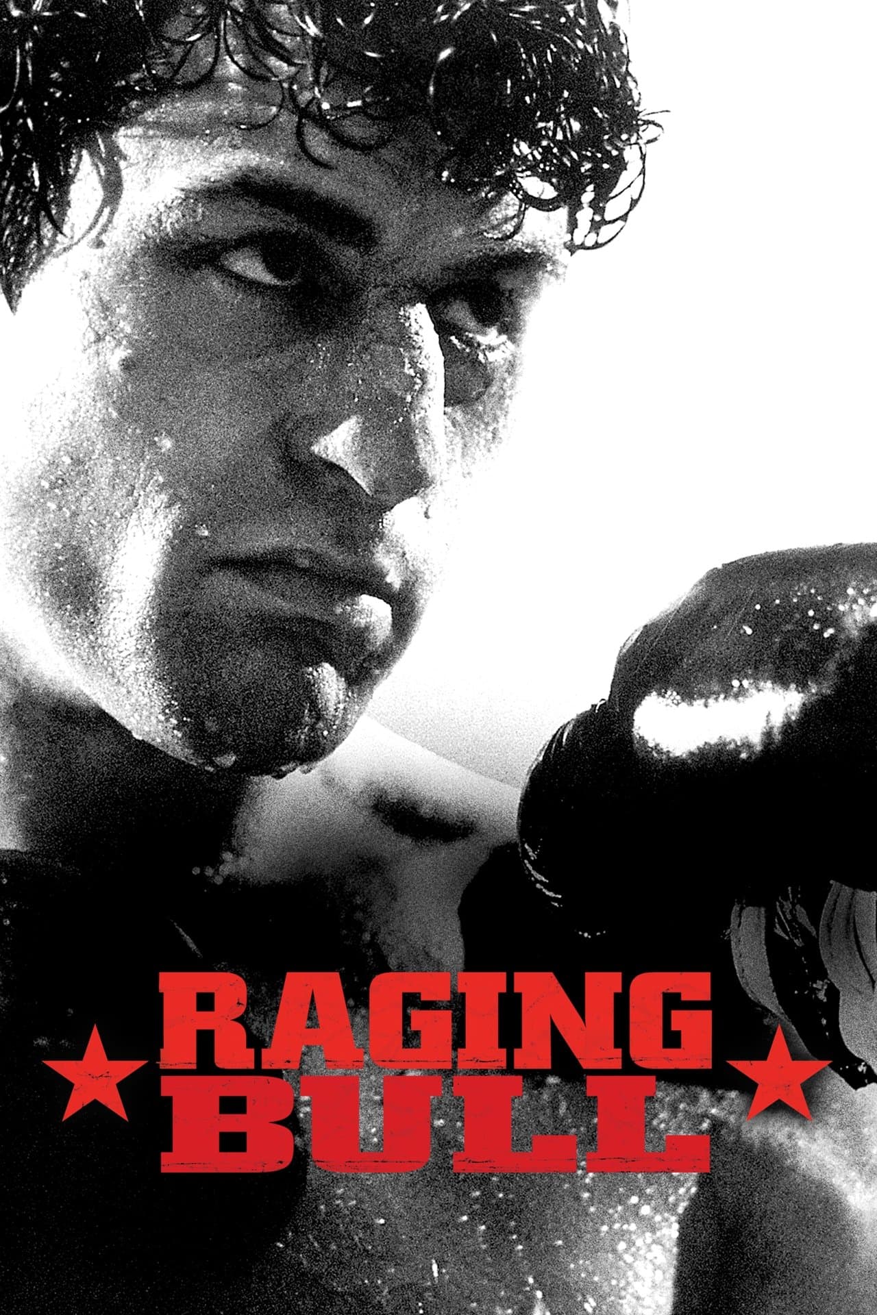 Raging Bull preview 2