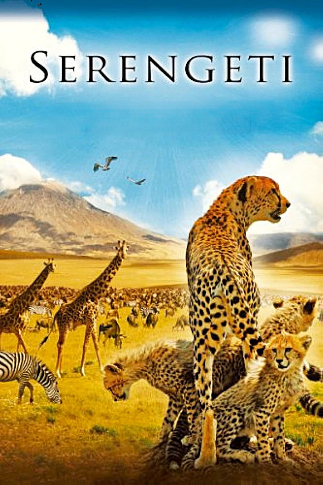 Serengeti preview 2