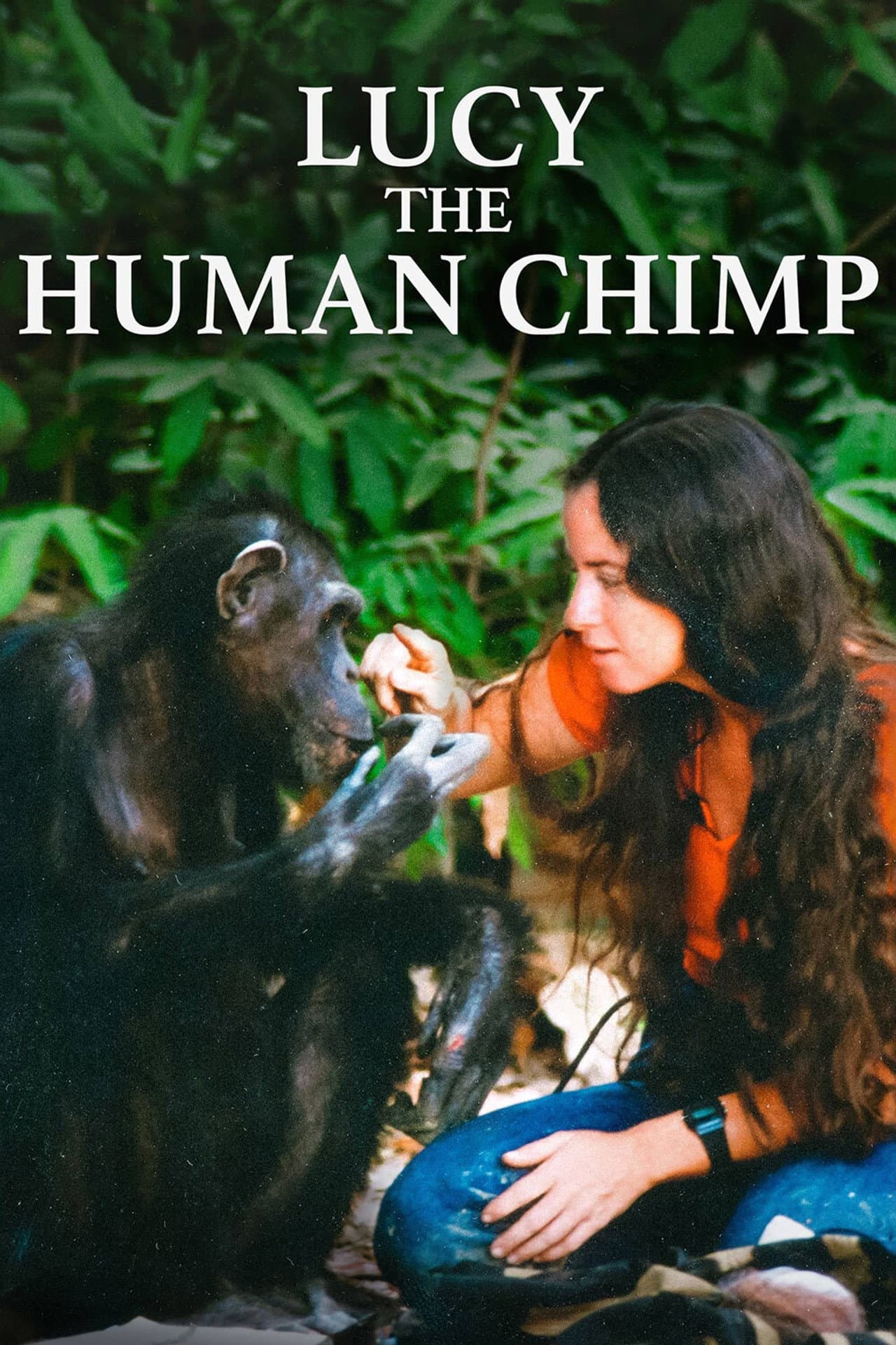 Lucy the Human Chimp preview 2