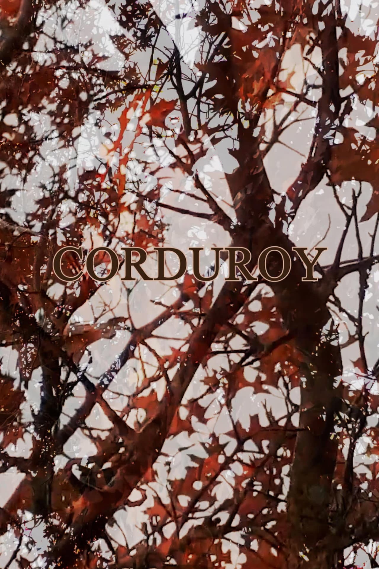 Corduroy preview 1