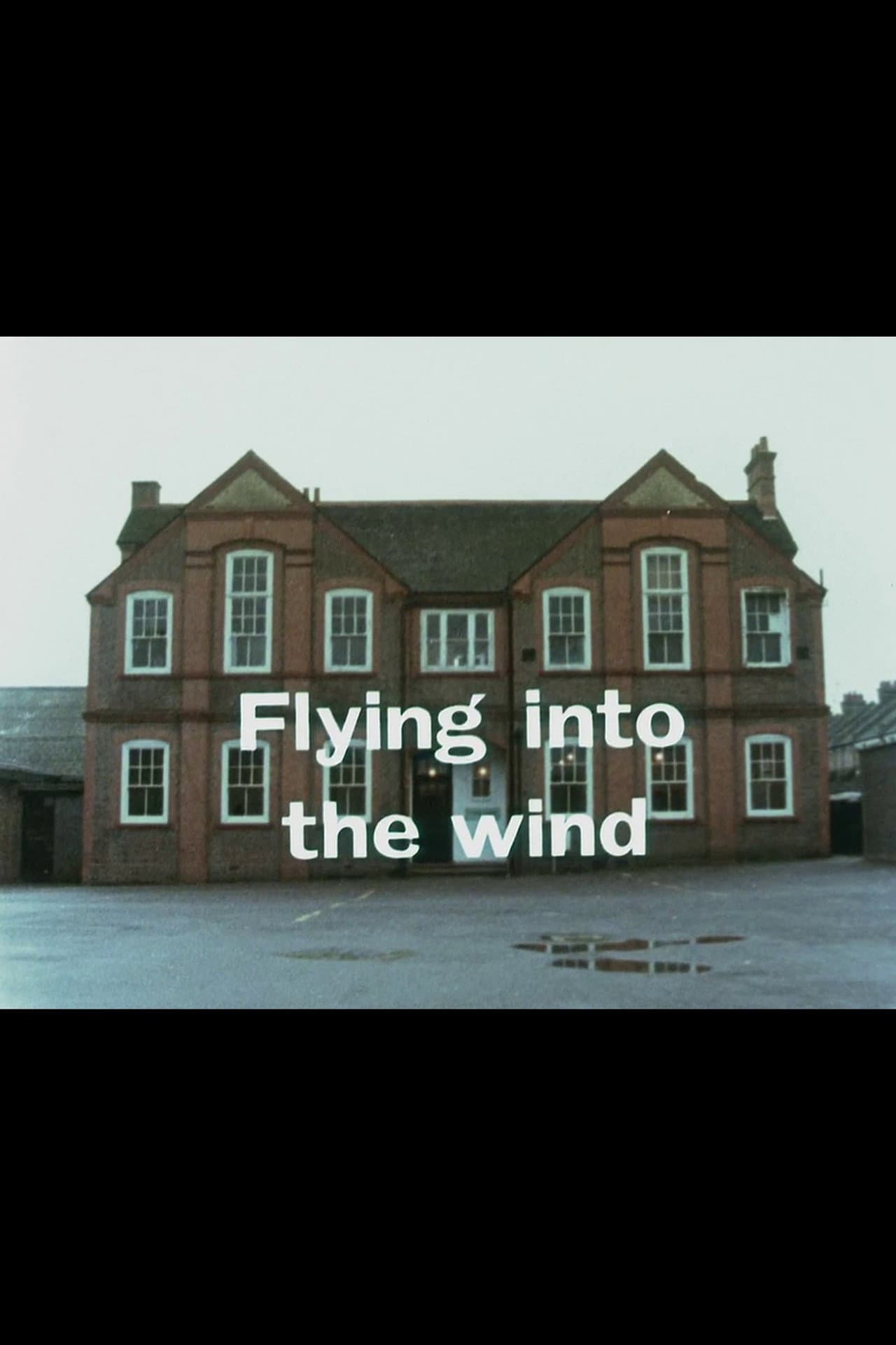 Flying Into the Wind preview 2