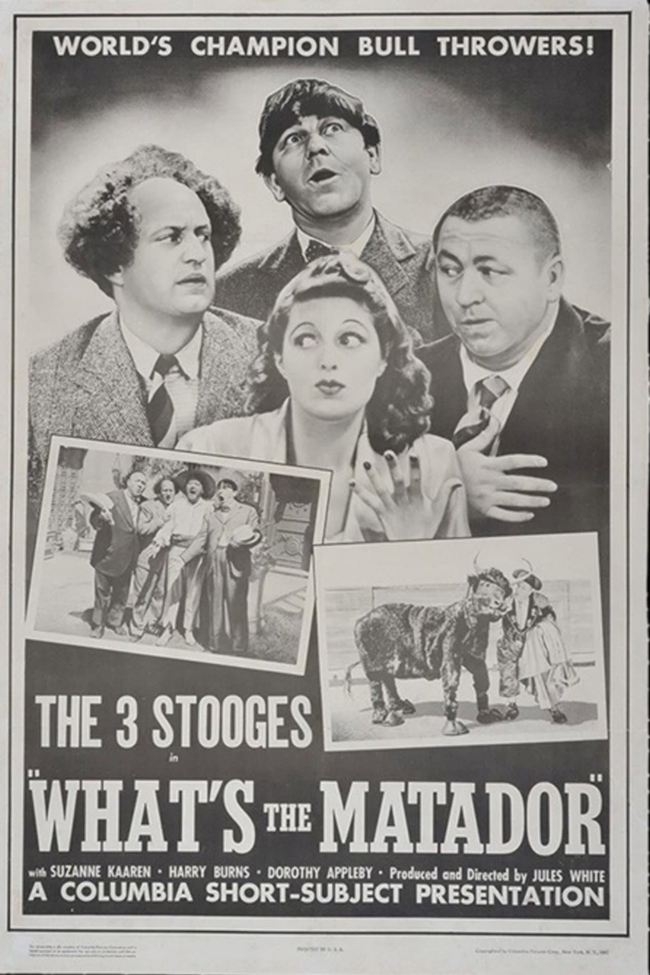 What's the Matador? preview 2