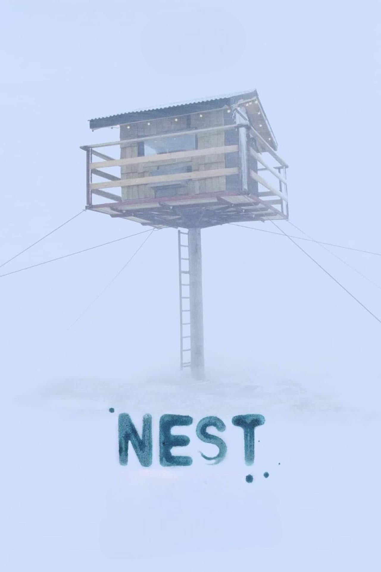Nest preview 2