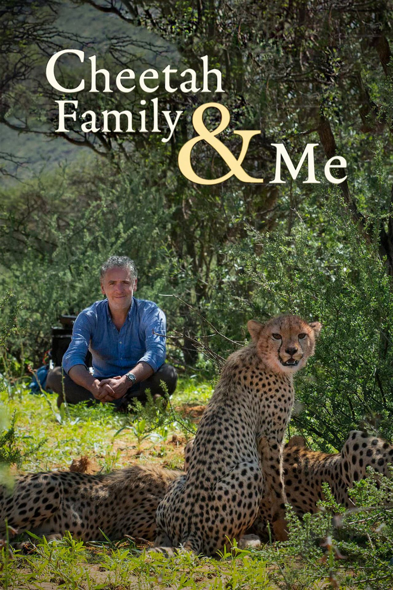 Cheetah Family & Me preview 2