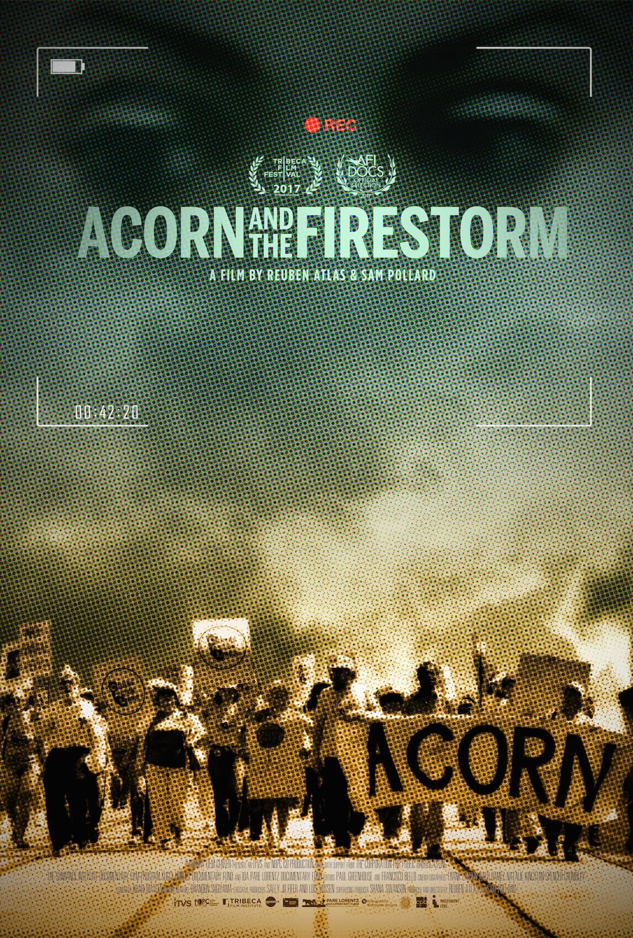 Acorn and the Firestorm preview 2