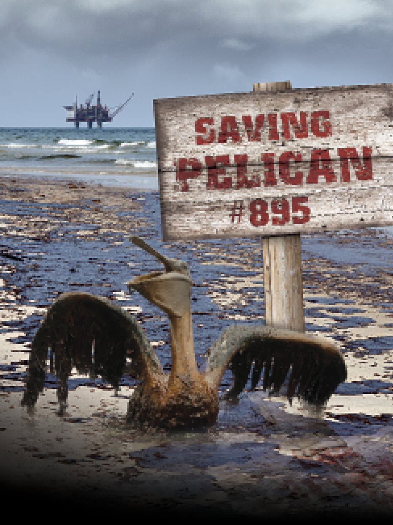 Saving Pelican 895 preview 2