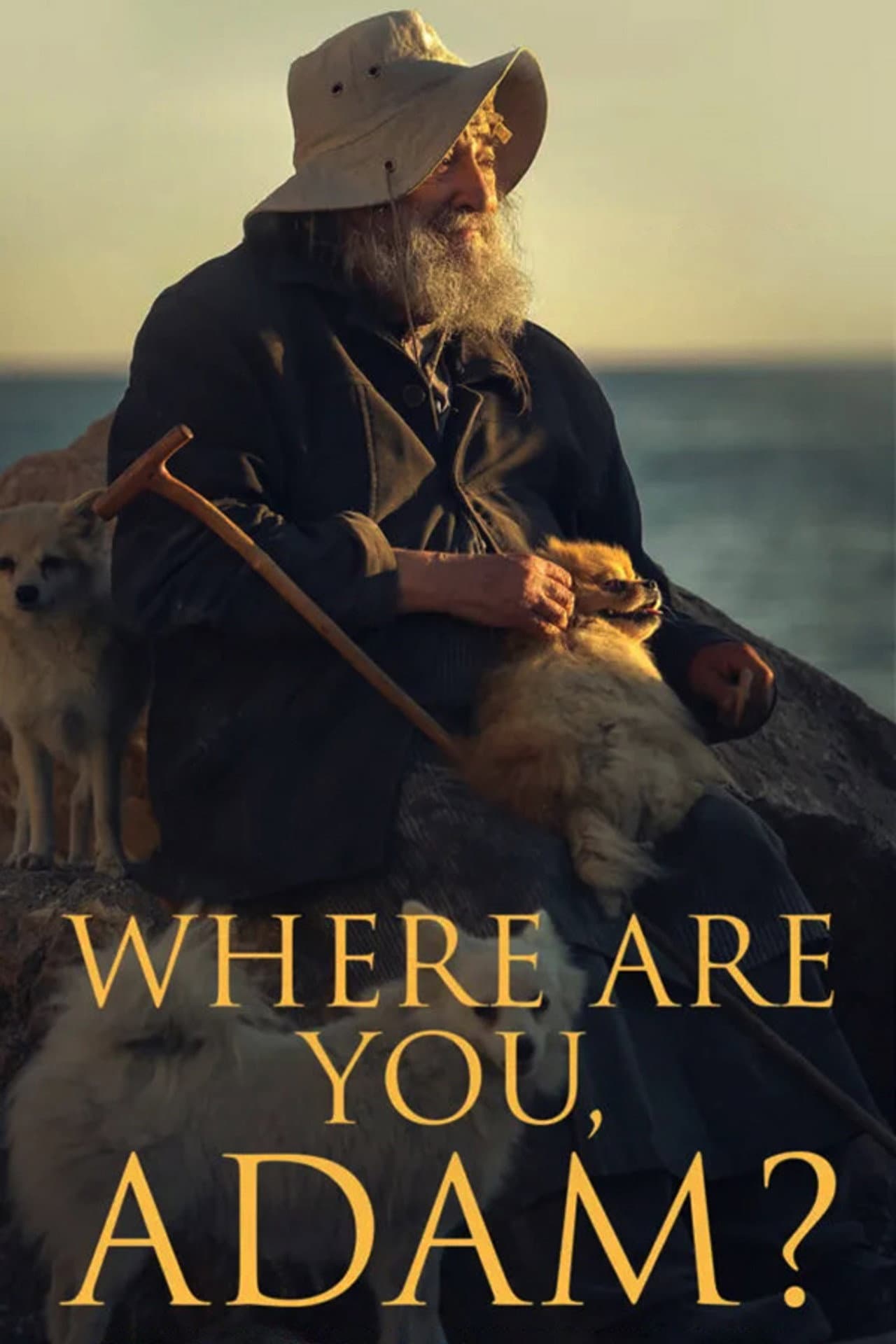 Where are you, Adam? preview 2