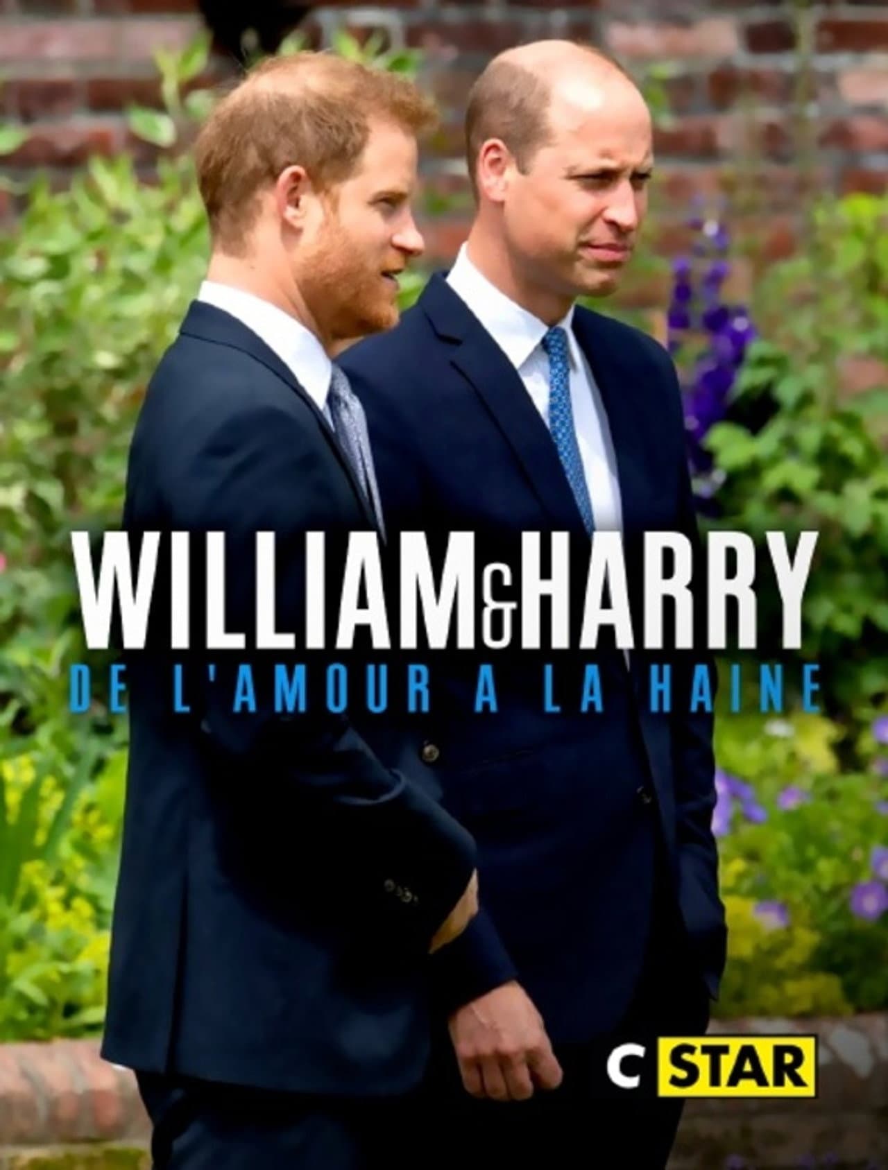William et Harry : de l'amour à la haine preview 2
