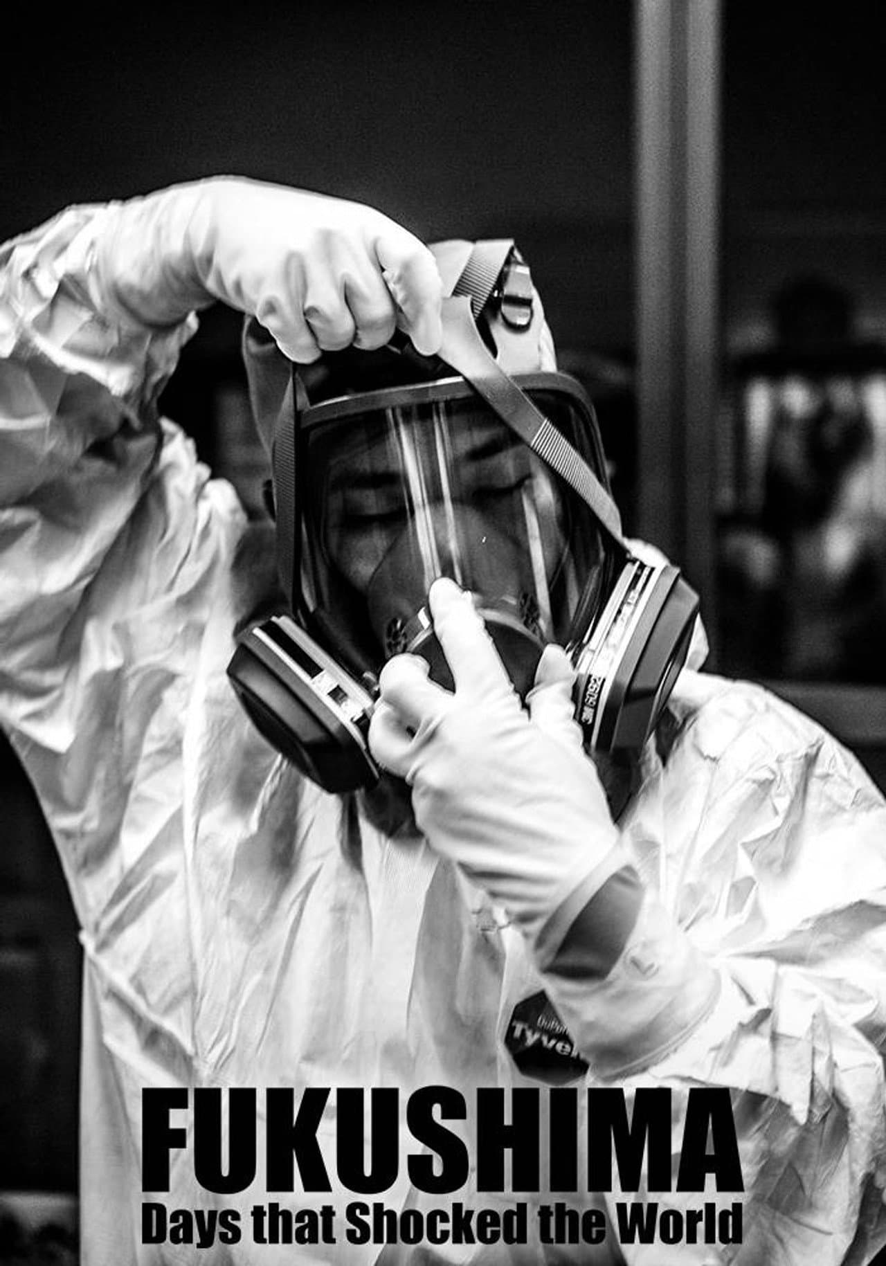 Fukushima: Days That Shocked the World preview 2