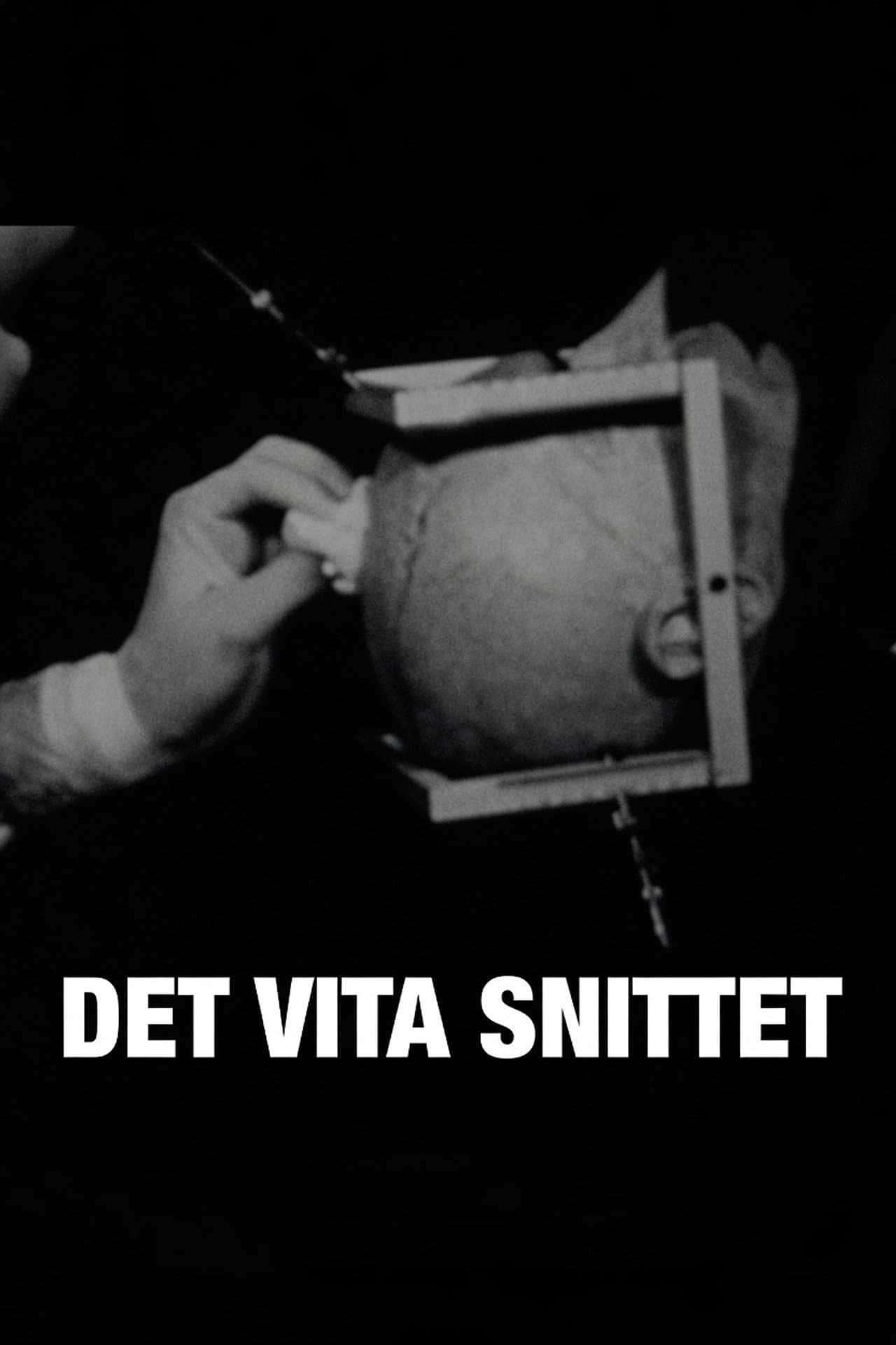 Det vita snittet preview 2