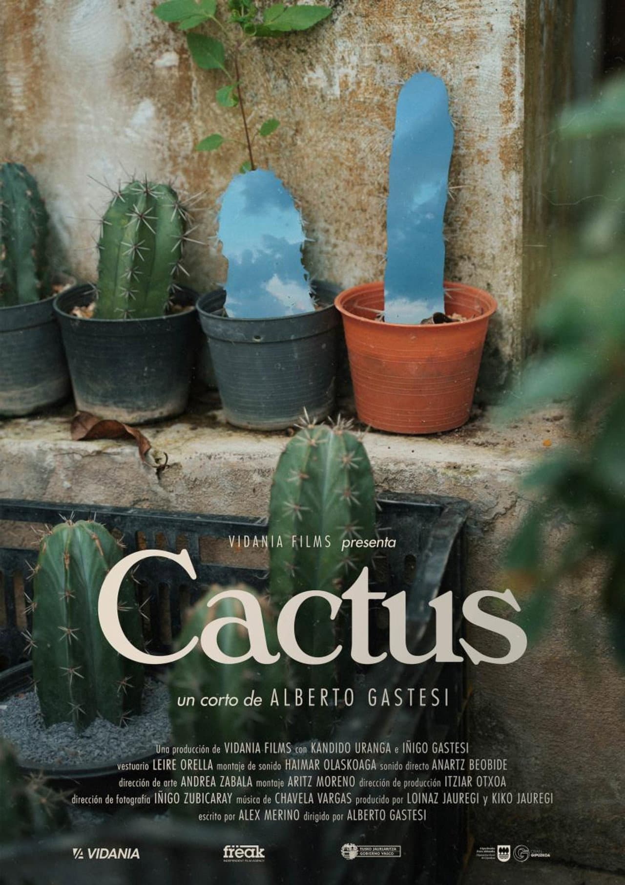 Cactus preview 1