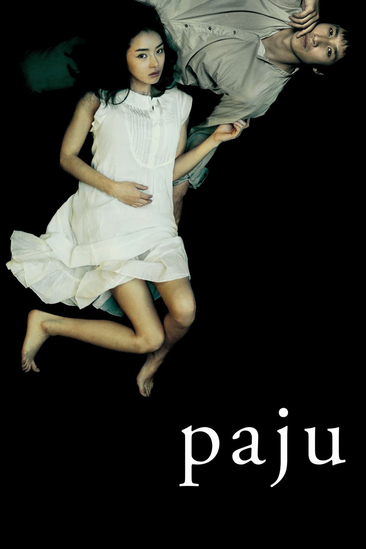 Paju preview 2