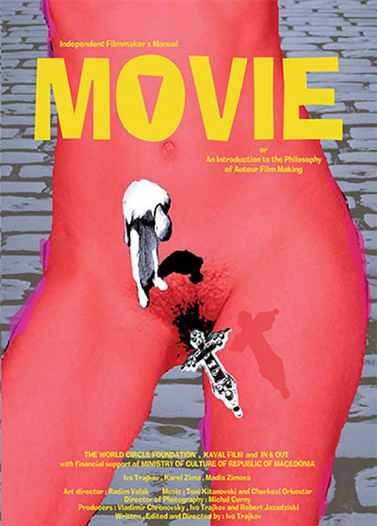 Movie - An Introduction to the Philosophy of Auteur Film Making preview 1
